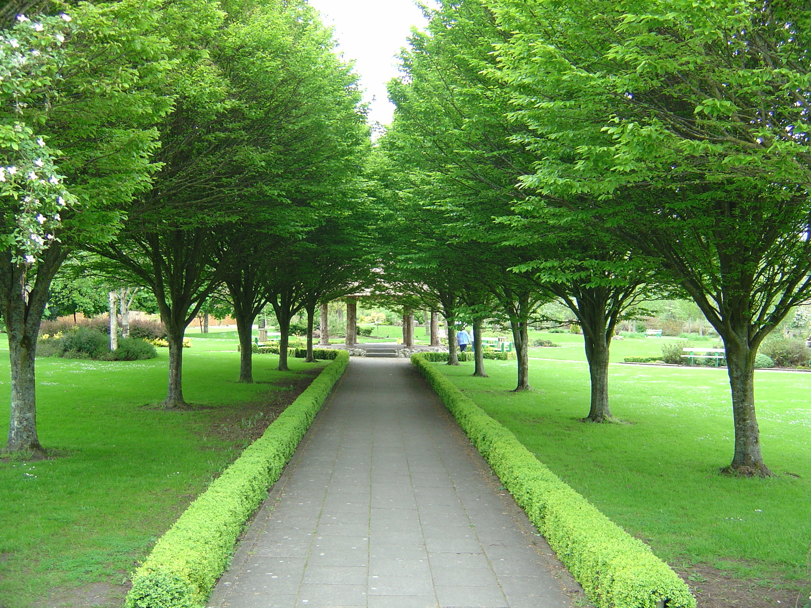 รูปถ่าย ไอร์แลนด์(Ireland) เคาน์ตีลิเมอริก(Limerick County) อาแดร์(Adare) 2004-05 28