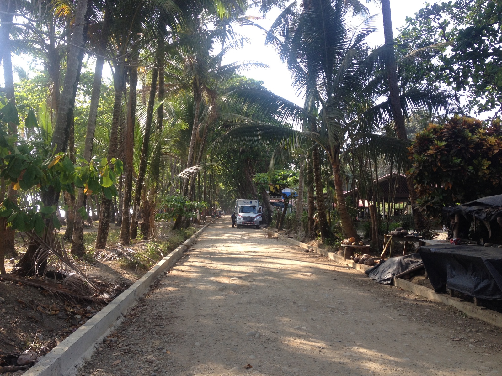 รูปถ่าย คอสตาริกา(Costa Rica) โดมินิกัล(Dominical) 2015-03 127