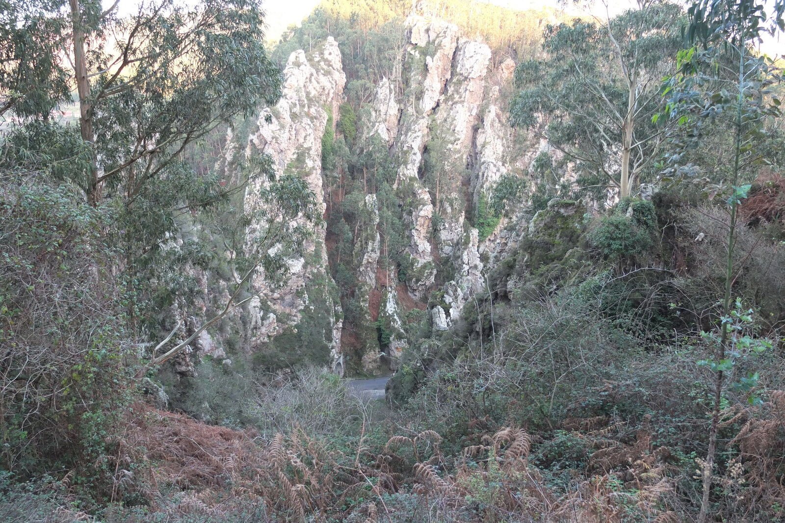 รูปถ่าย สเปน(Spain) กันตาเบรีย(Cantabria) 2013-01 2