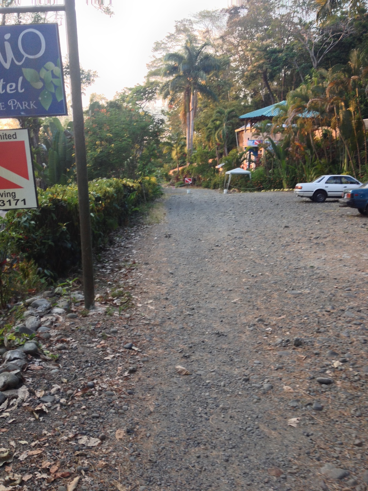 รูปถ่าย คอสตาริกา(Costa Rica) มานวยล์อันโตนีโอ(Manuel Antonio) 2015-03 504