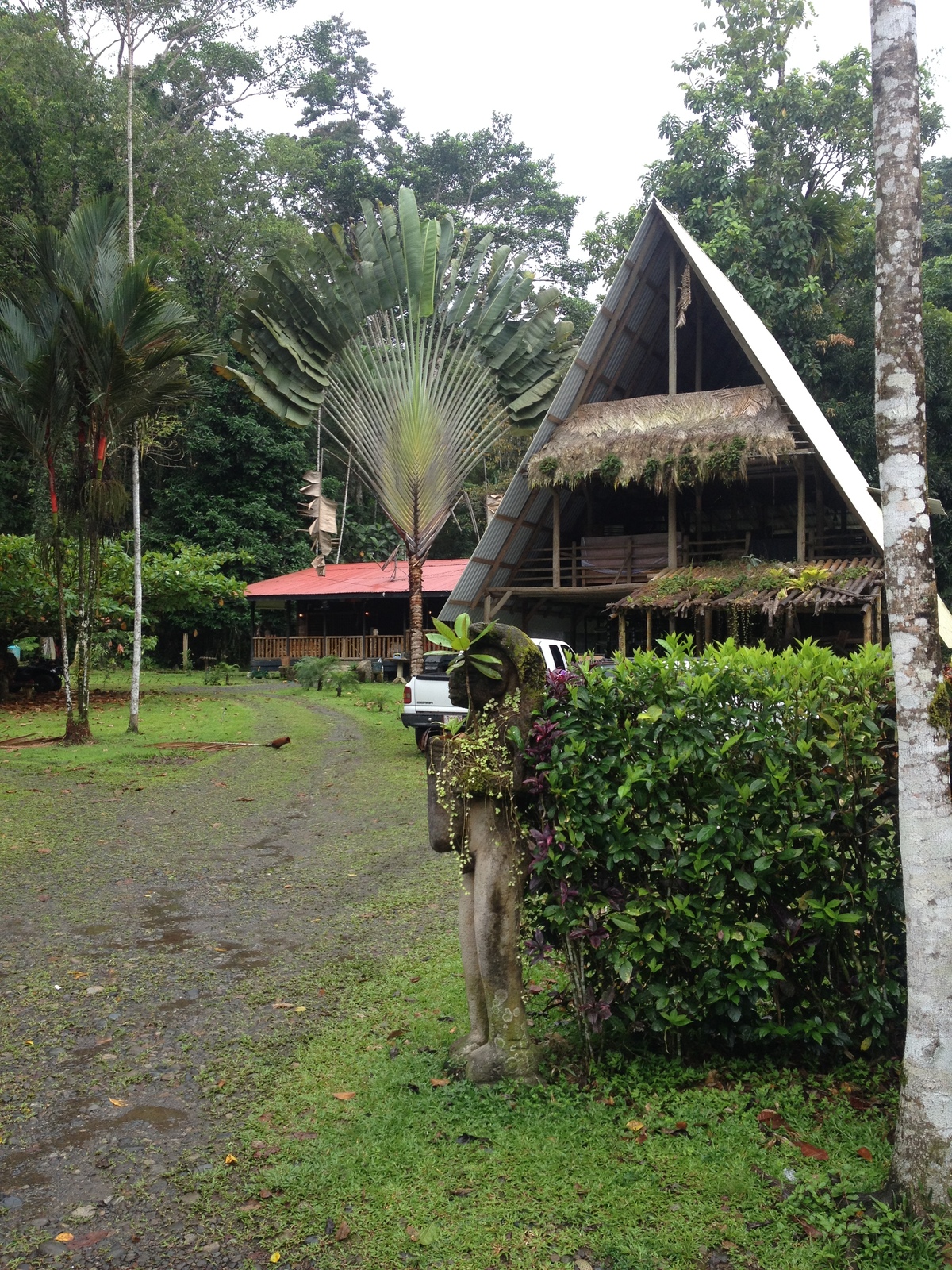 รูปถ่าย คอสตาริกา(Costa Rica) ปวยร์โตเบียโฆเดตาลามังกา(Puerto Viejo de Talamanca) 2015-03 88