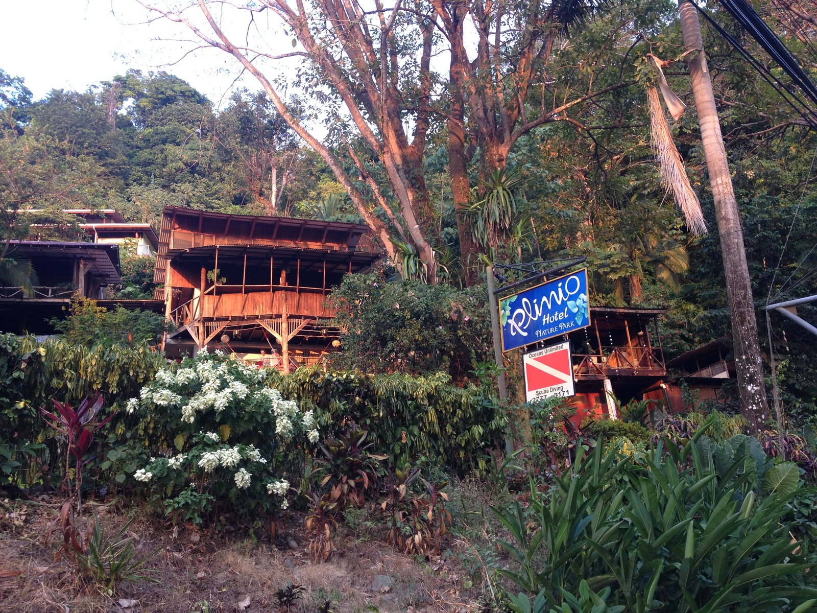 รูปถ่าย คอสตาริกา(Costa Rica) มานวยล์อันโตนีโอ(Manuel Antonio) 2015-03 425