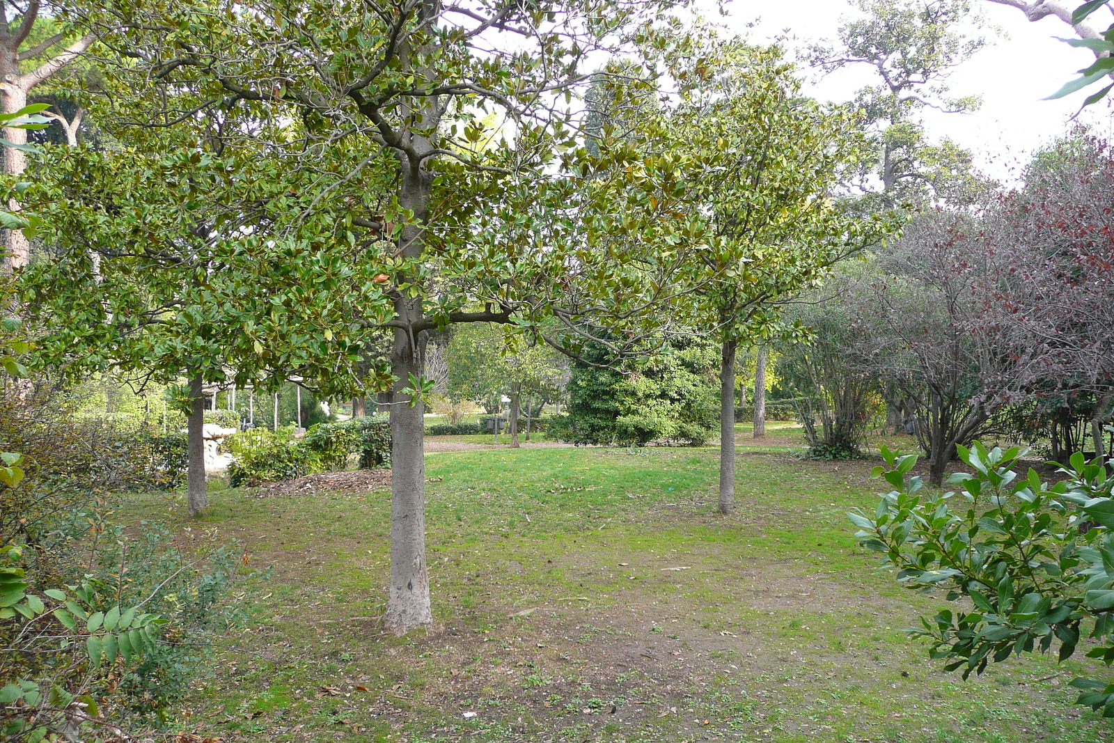 รูปถ่าย อิตาลี(Italy) โรม(Rome) วิลลาชาร์รา(Villa Sciarra) 2007-11 1