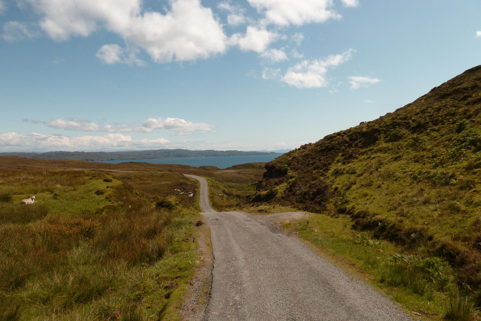 รูปถ่าย อังกฤษ(United Kingdom) เกาะสกาย(Skye) เทือกเขาคูลิน(The Cuillin) 2011-07 15
