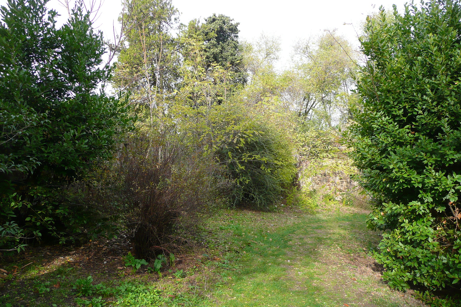 รูปถ่าย อิตาลี(Italy) โรม(Rome) วิลลาชาร์รา(Villa Sciarra) 2007-11 7