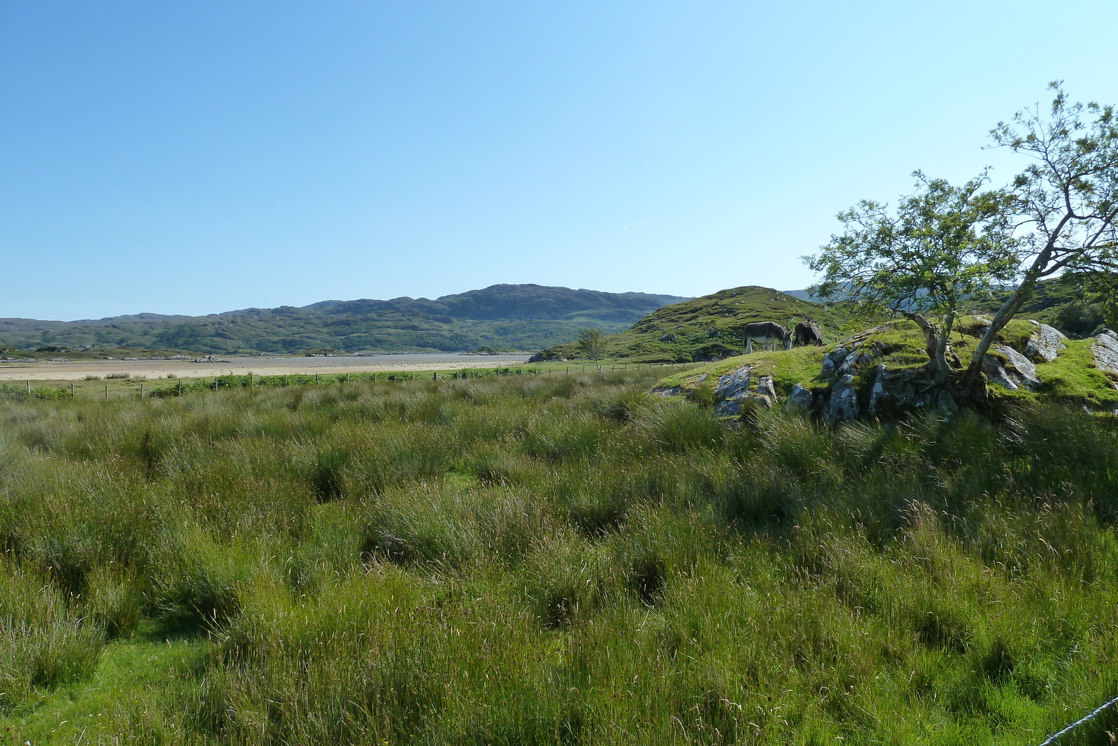 รูปถ่าย อังกฤษ(United Kingdom) สกอตแลนด์(Scotland) เซเลน(Salen) 2011-07 72