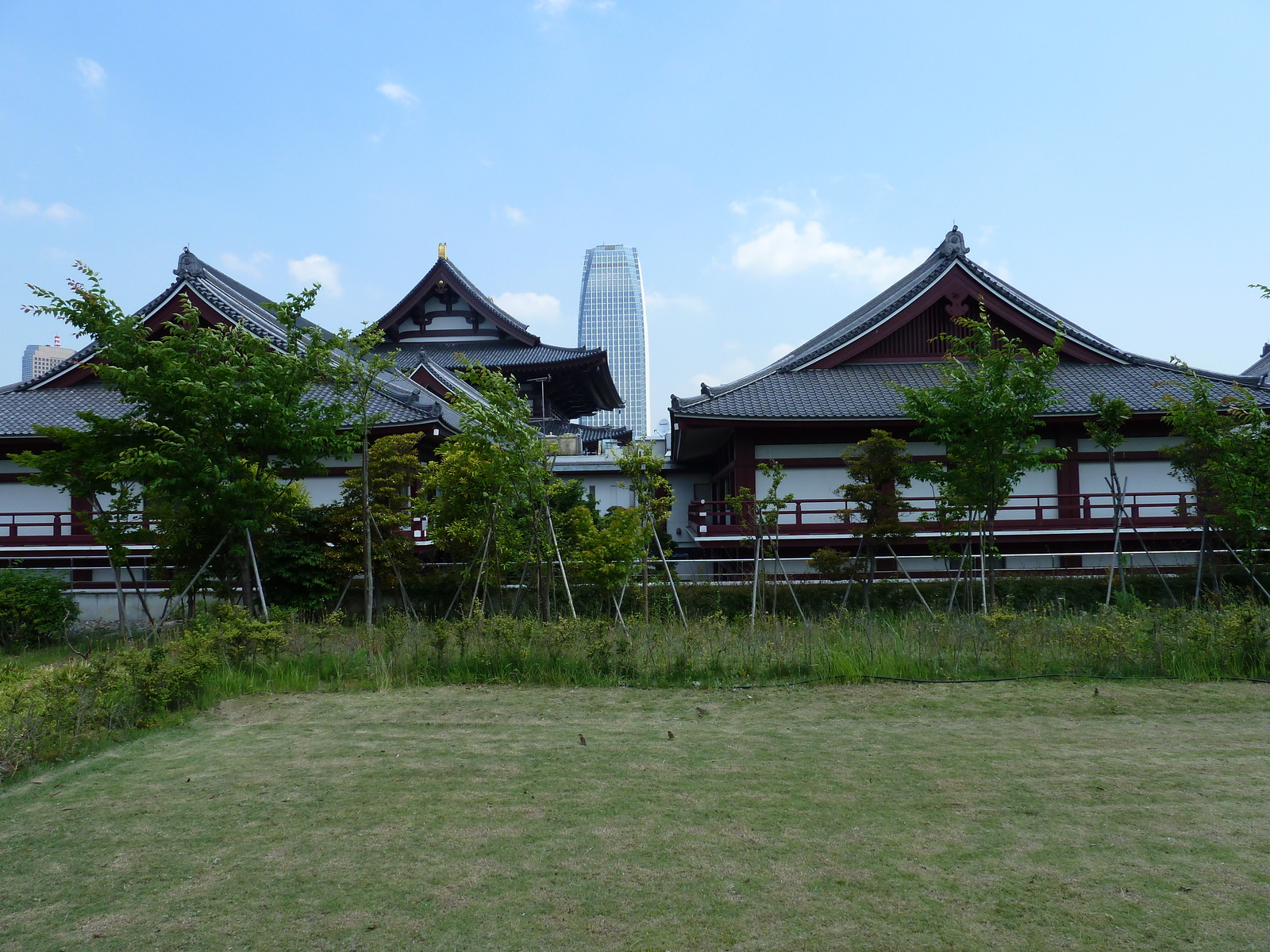 รูปถ่าย ญี่ปุ่น(Japan) โตเกียว(Tokyo) สวนชิบะ(Shiba Park) 2010-06 19