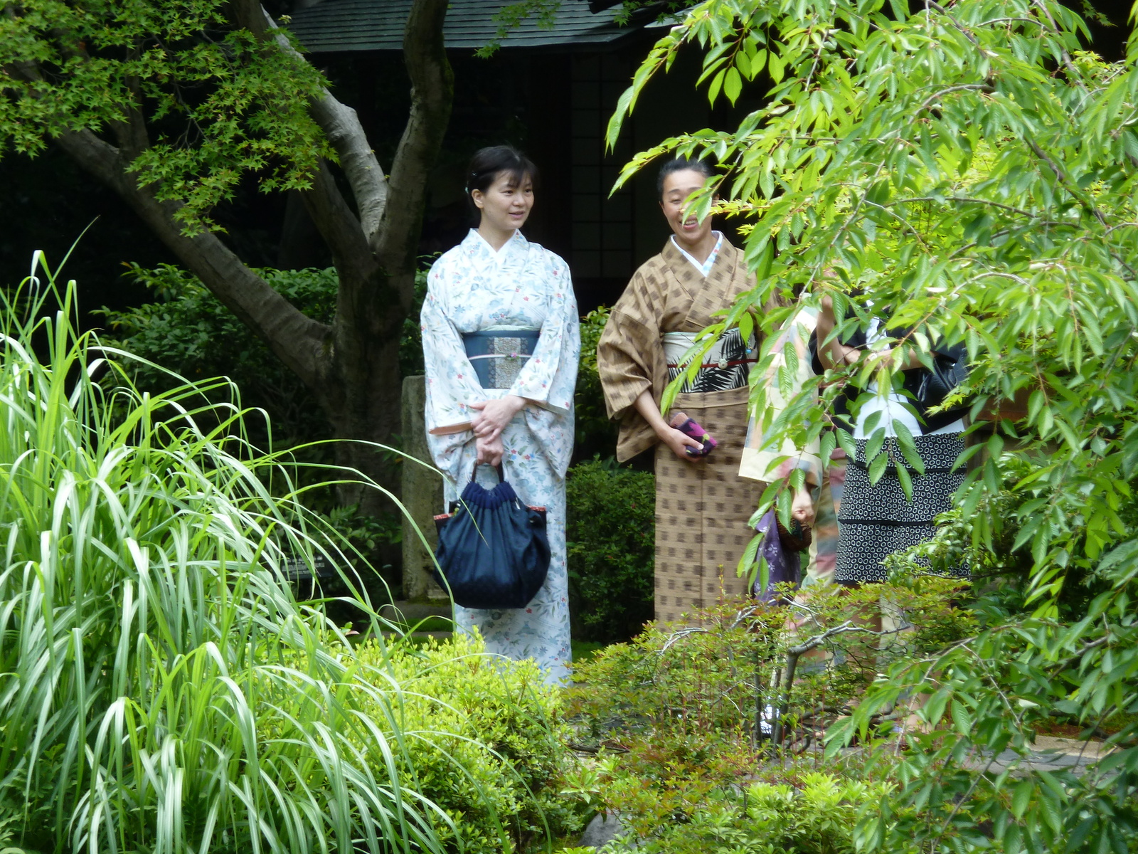 รูปถ่าย ญี่ปุ่น(Japan) 2010-06 58