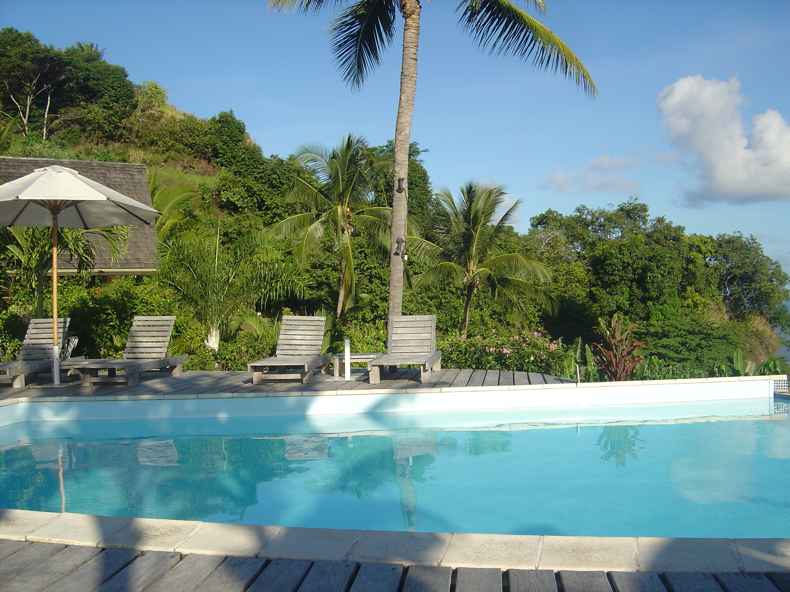 รูปถ่าย เฟรนช์โพลี่นีเซีย(Polynesia) หมู่เกาะมาร์เคซัส(Marquises) 2006-04 78