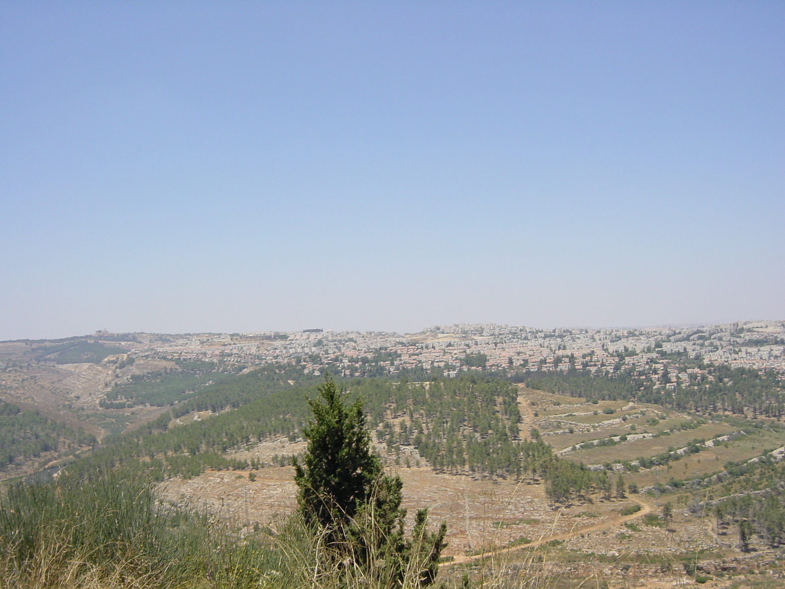รูปถ่าย อิสราเอล(Israel) ถนน(Road) 2001-07 13