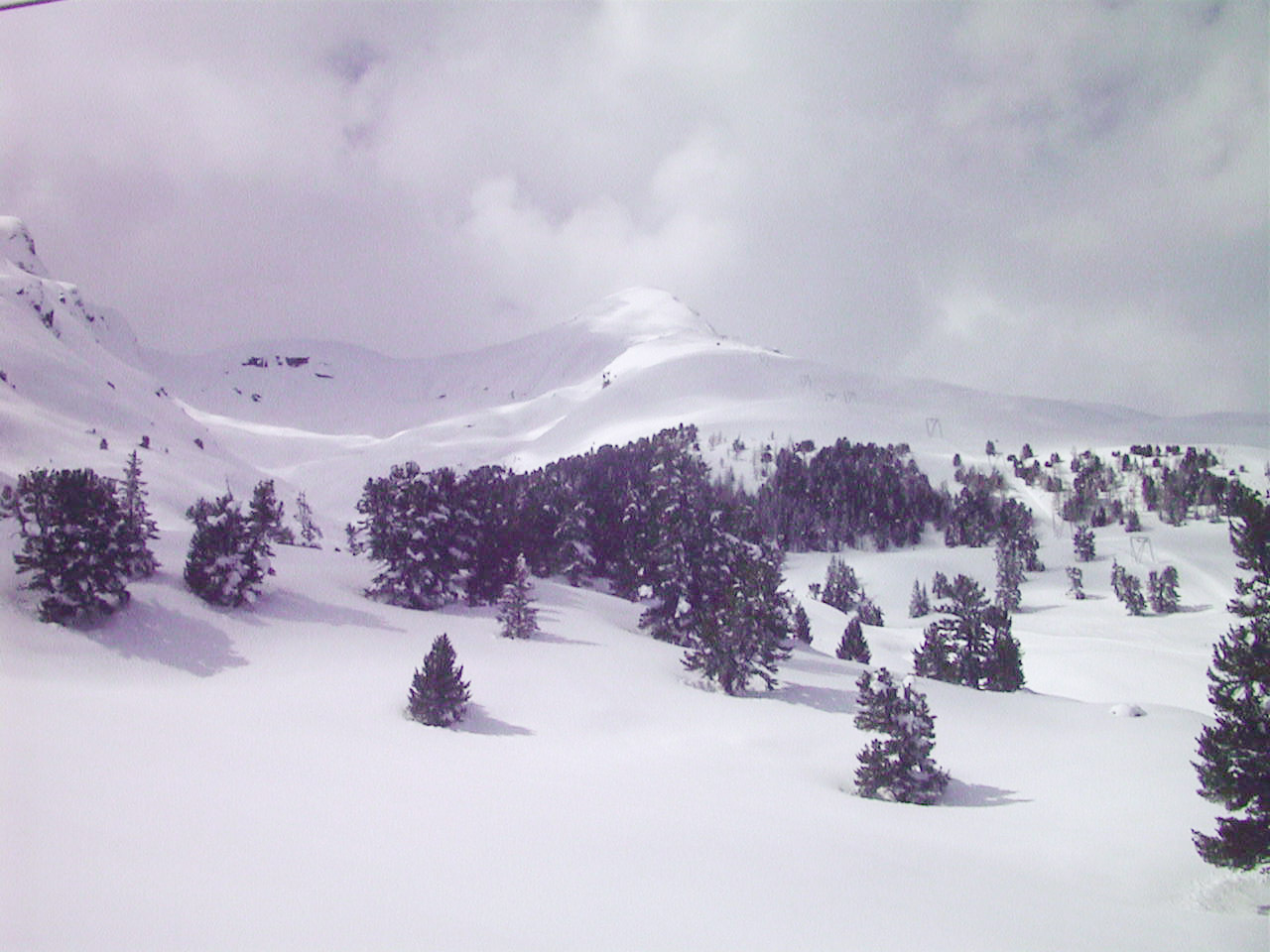 รูปถ่าย สวิสเซอร์แลนด์(Switzerland) กรินเดลวัลด์(Grindelwald) 1999-04 17