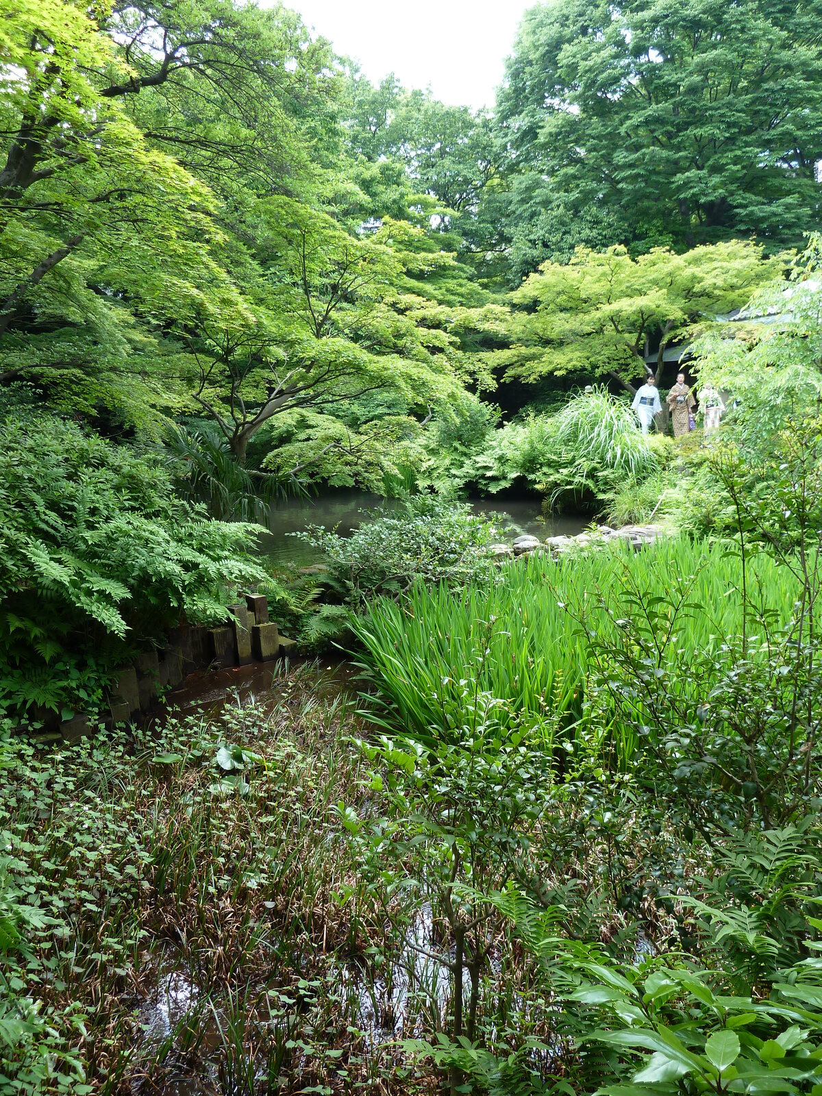 รูปถ่าย ญี่ปุ่น(Japan) โตเกียว(Tokyo) พิพิธภัณฑ์เนซุ(Nezu Museum) 2010-06 62