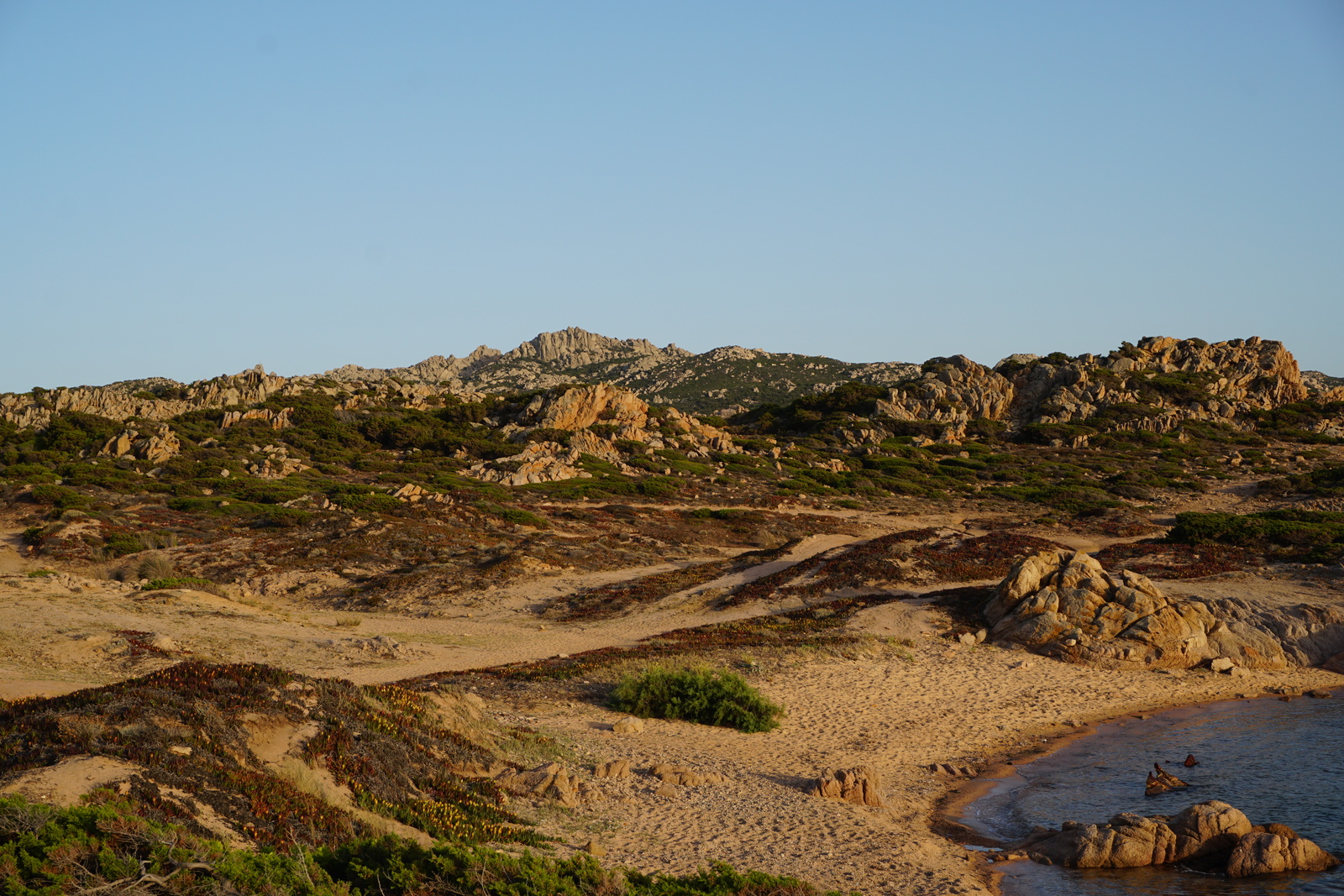 รูปถ่าย ฝรั่งเศส(France) คอร์สิคา(Corsica) หาดตอนนารา(Tonnara Beach) 2017-07 23