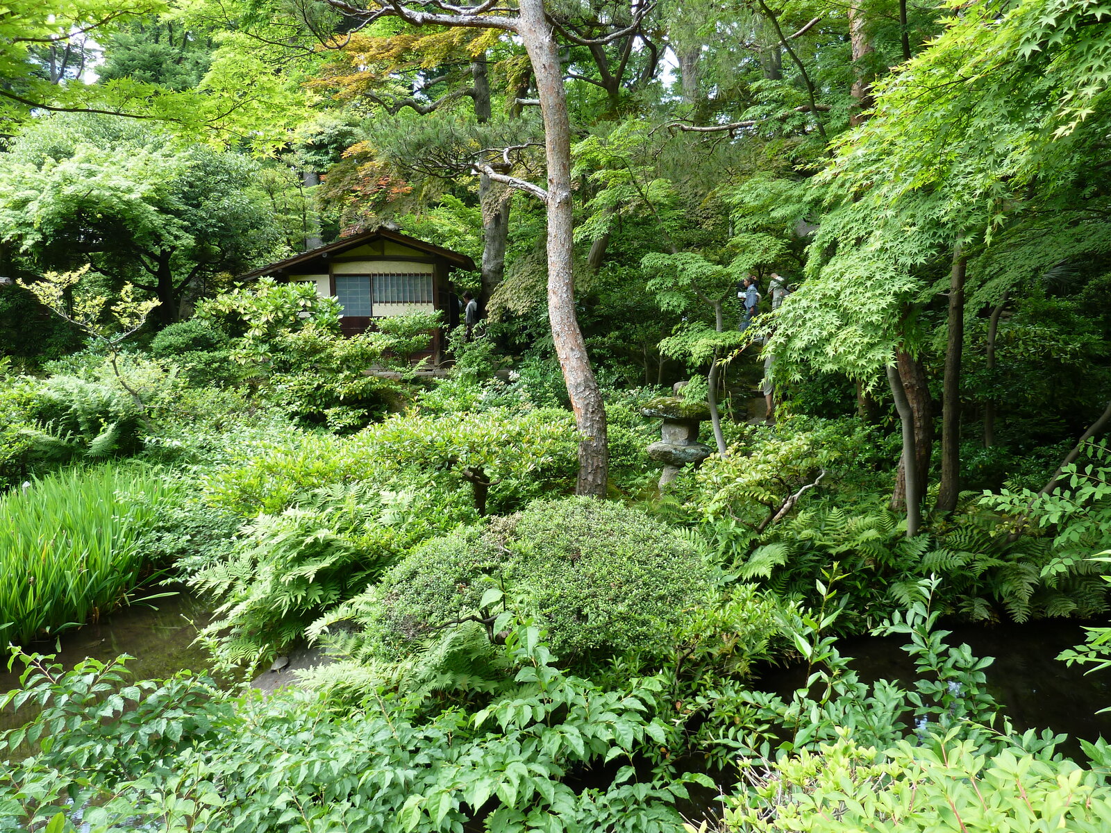 รูปถ่าย ญี่ปุ่น(Japan) โตเกียว(Tokyo) พิพิธภัณฑ์เนซุ(Nezu Museum) 2010-06 28