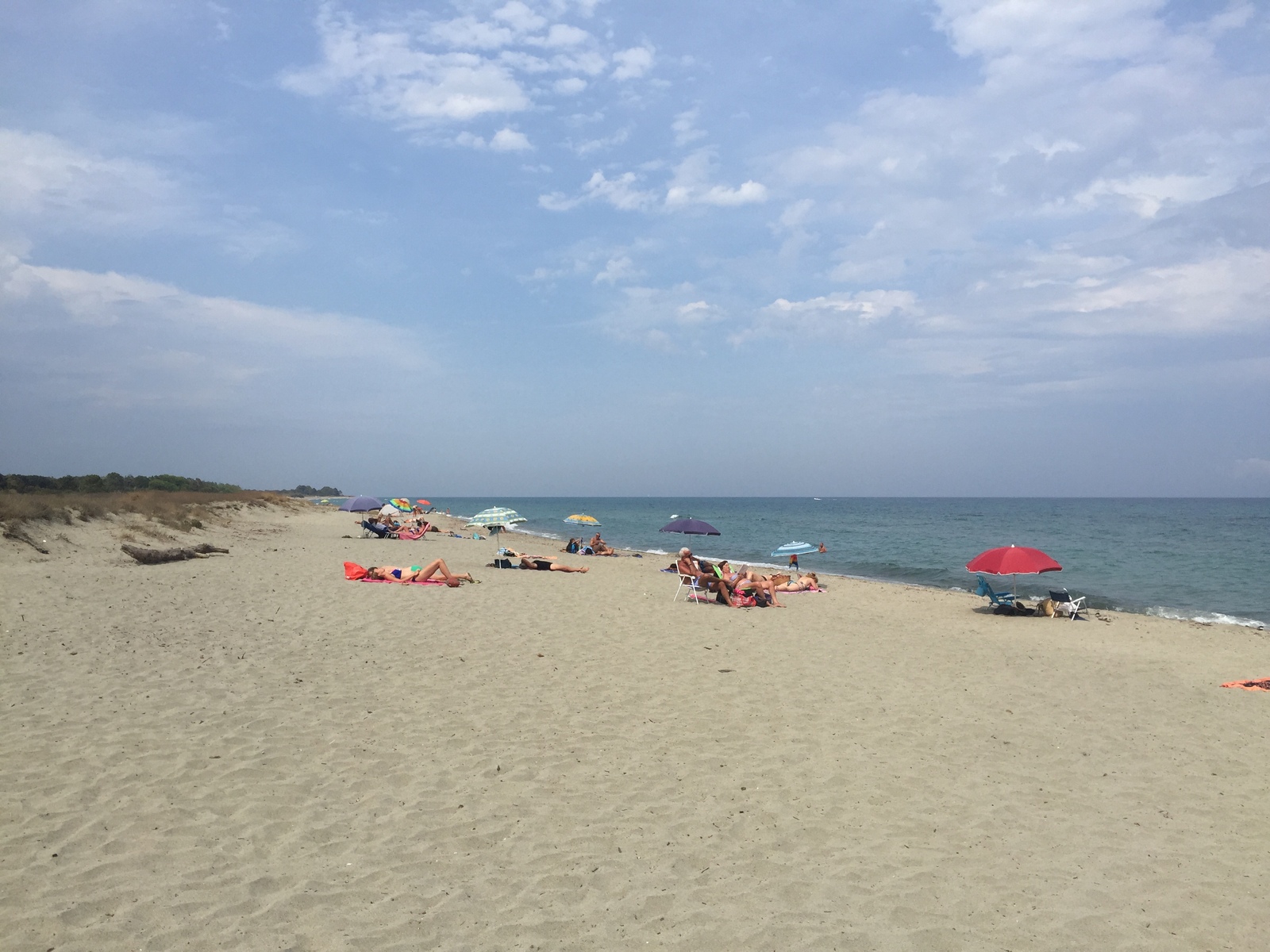 รูปถ่าย ฝรั่งเศส(France) คอร์สิคา(Corsica) ซานจูเลียโน(San Giuliano) 2017-09 2