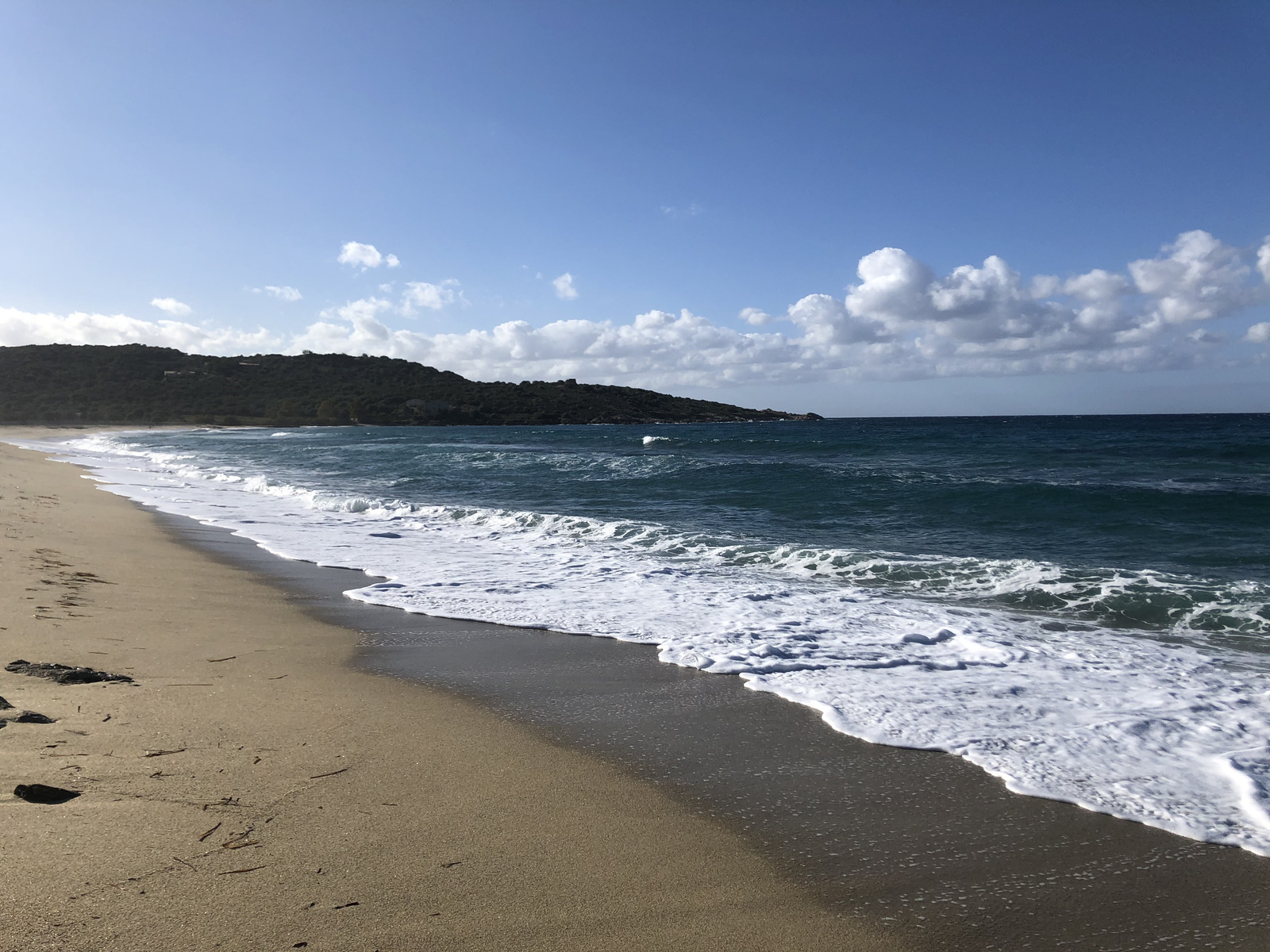 รูปถ่าย ฝรั่งเศส(France) คอร์สิคา(Corsica) คาลวี(Calvi) 2020-10 42