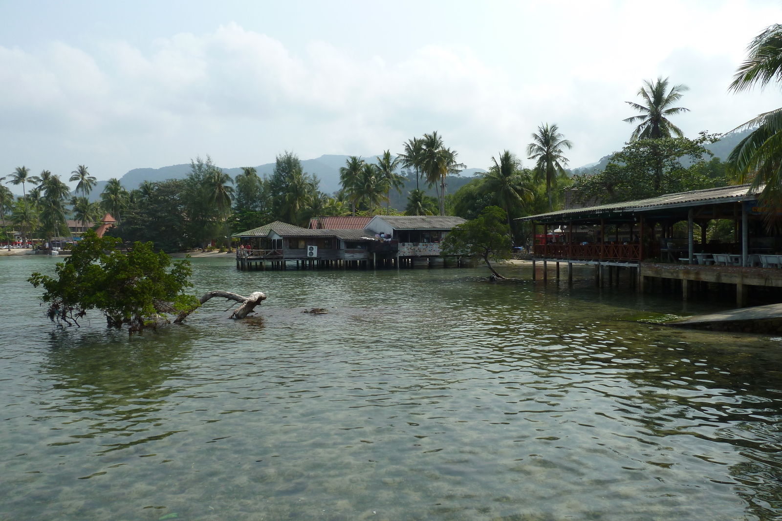 รูปถ่าย ไทย(Thailand) เกาะช้าง(Ko Chang) หาดคลองพร้าว(Klong Prao beach) 2011-02 111