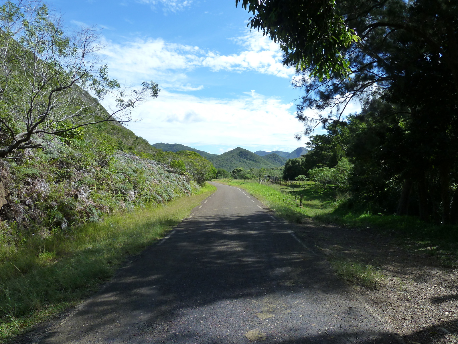รูปถ่าย นิวแคลิโดเนีย(New Caledonia) ถนนจากทีโอไปกานาลา(Thio to Canala road) 2010-05 37