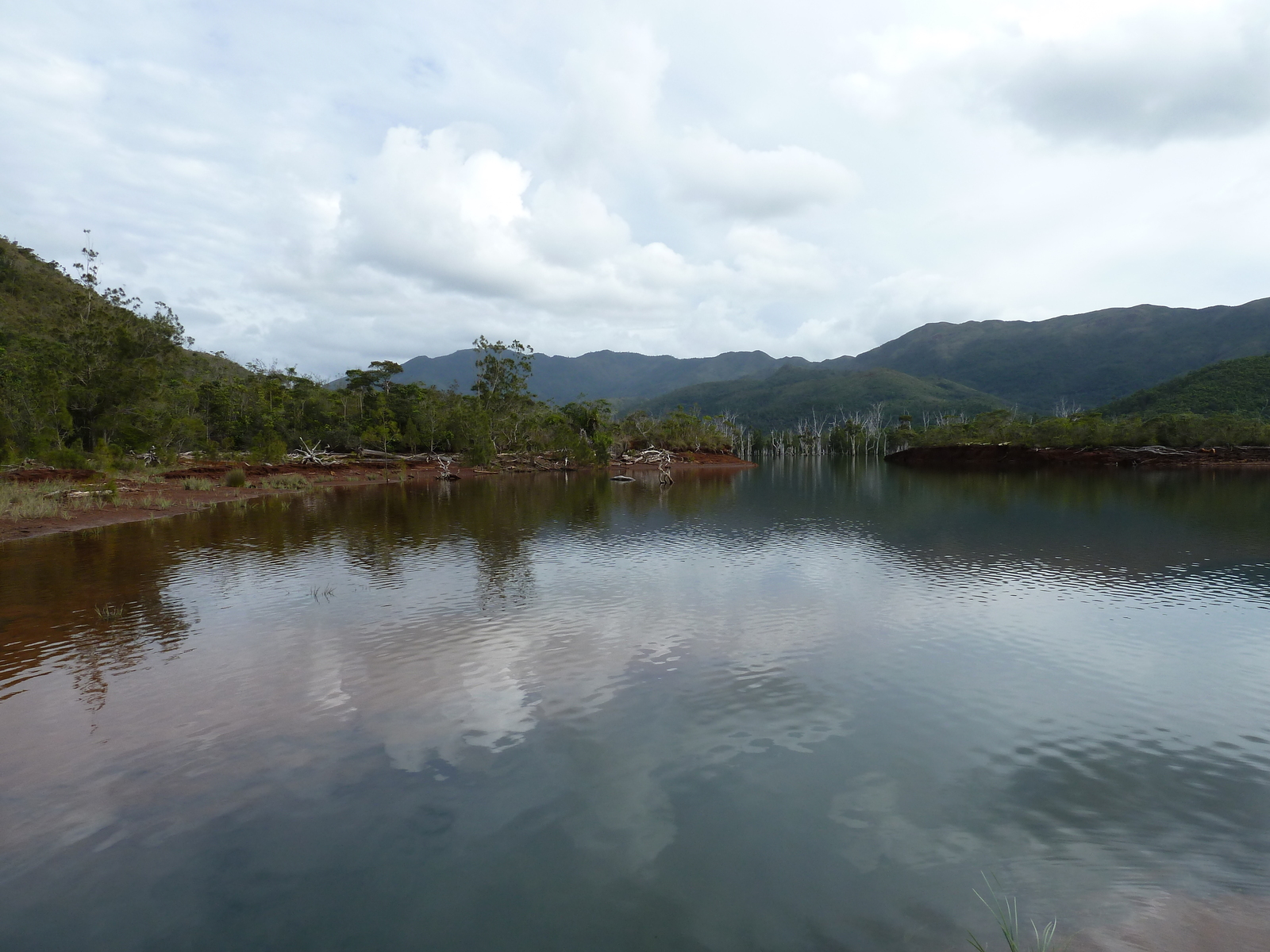 รูปถ่าย นิวแคลิโดเนีย(New Caledonia) อุทยานริเวียร์เบลอ(Parc de la Riviere Bleue) 2010-05 6