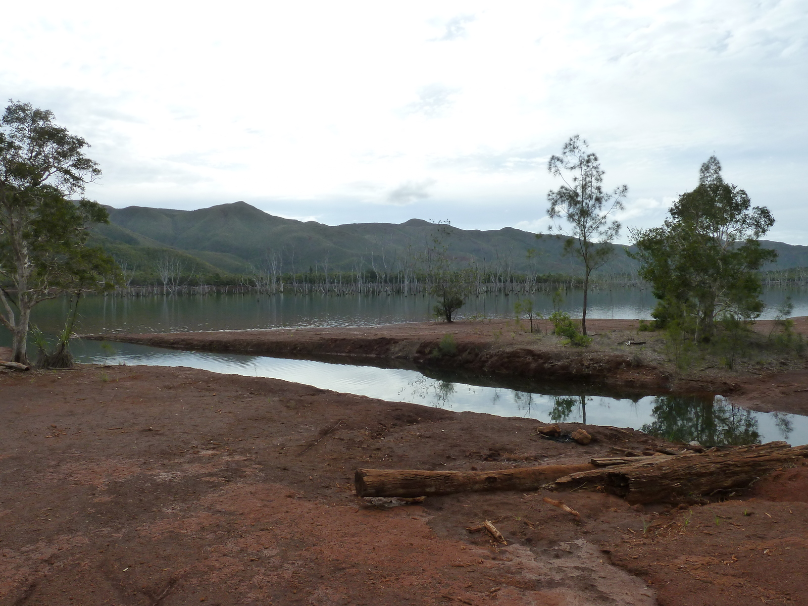 รูปถ่าย นิวแคลิโดเนีย(New Caledonia) อุทยานริเวียร์เบลอ(Parc de la Riviere Bleue) 2010-05 8