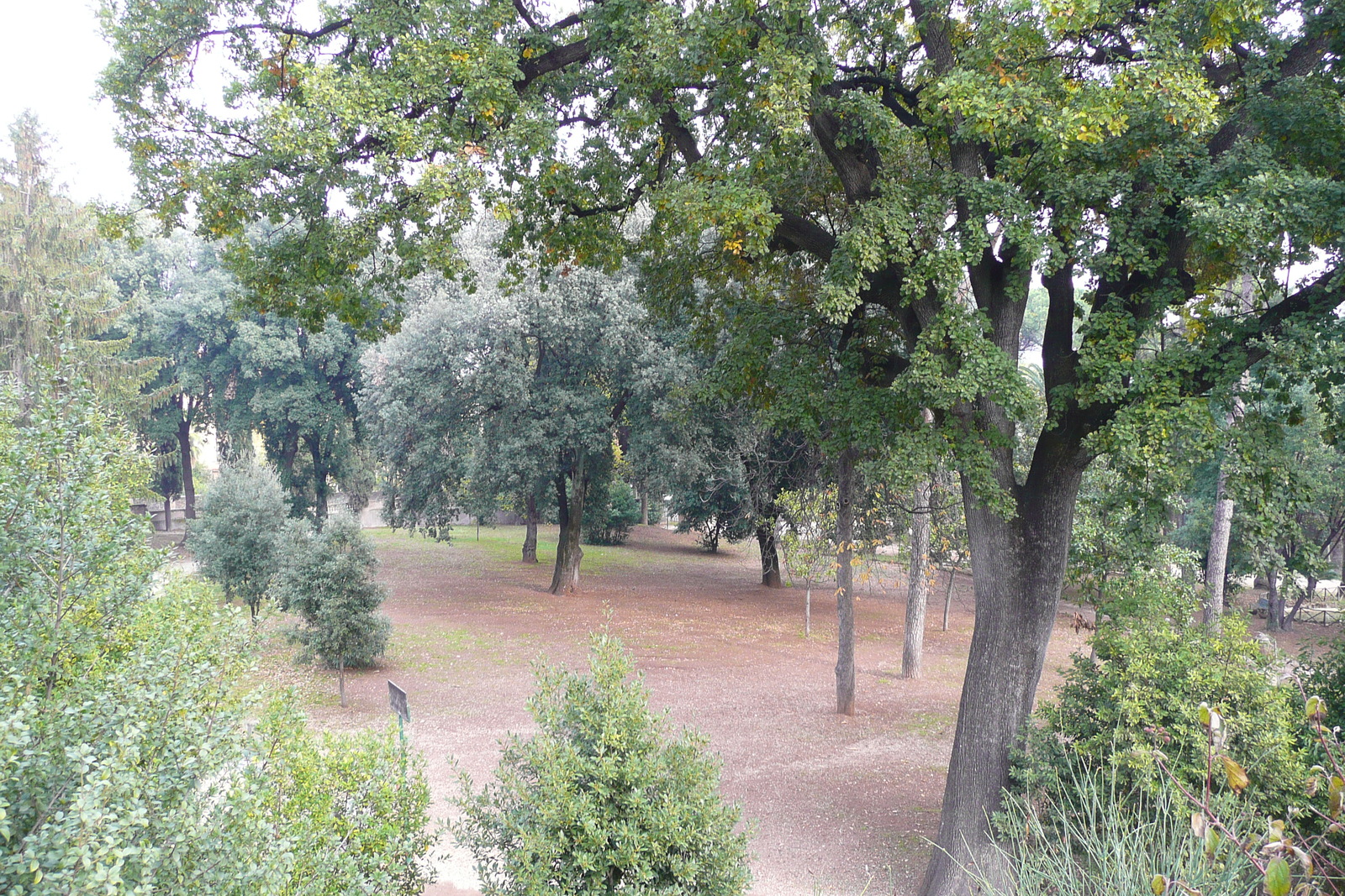 รูปถ่าย อิตาลี(Italy) โรม(Rome) วิลลาชาร์รา(Villa Sciarra) 2007-11 8