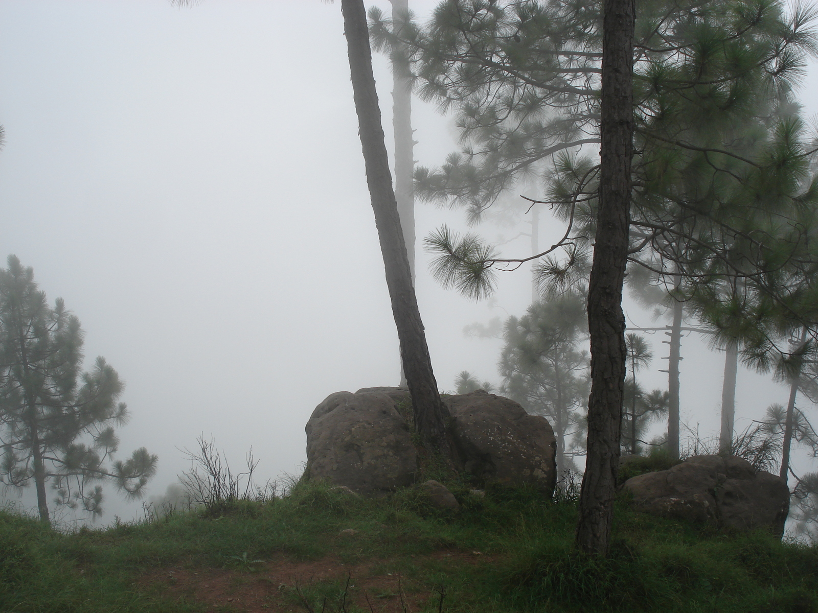 รูปถ่าย ปากีสถาน(Pakistan) มืร์รี(Murree) 2006-08 28