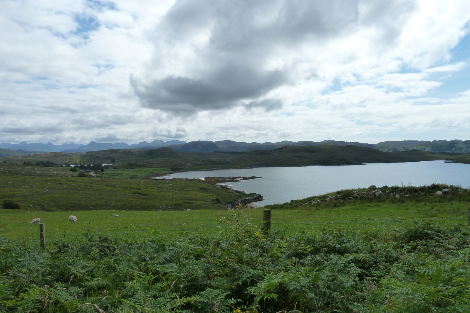 รูปถ่าย อังกฤษ(United Kingdom) สกอตแลนด์(Scotland) แกร์ลอค(Gairloch) 2011-07 140