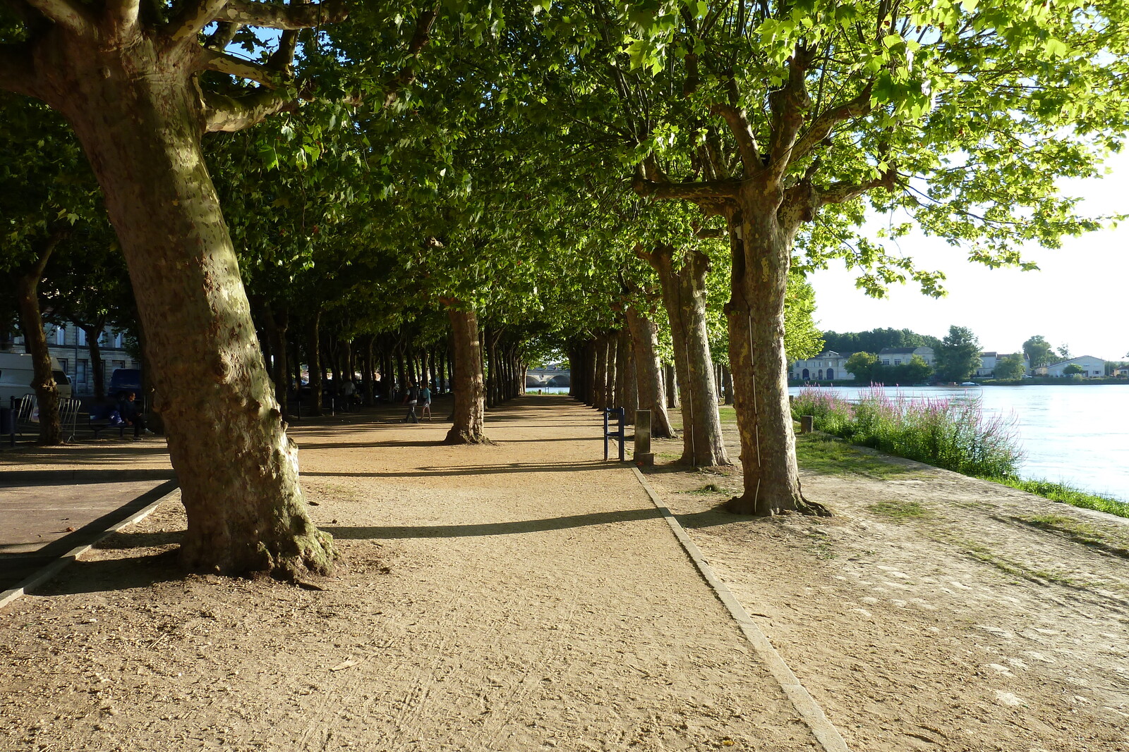 รูปถ่าย ฝรั่งเศส(France) ลีบูร์น(Libourne) 2010-08 20