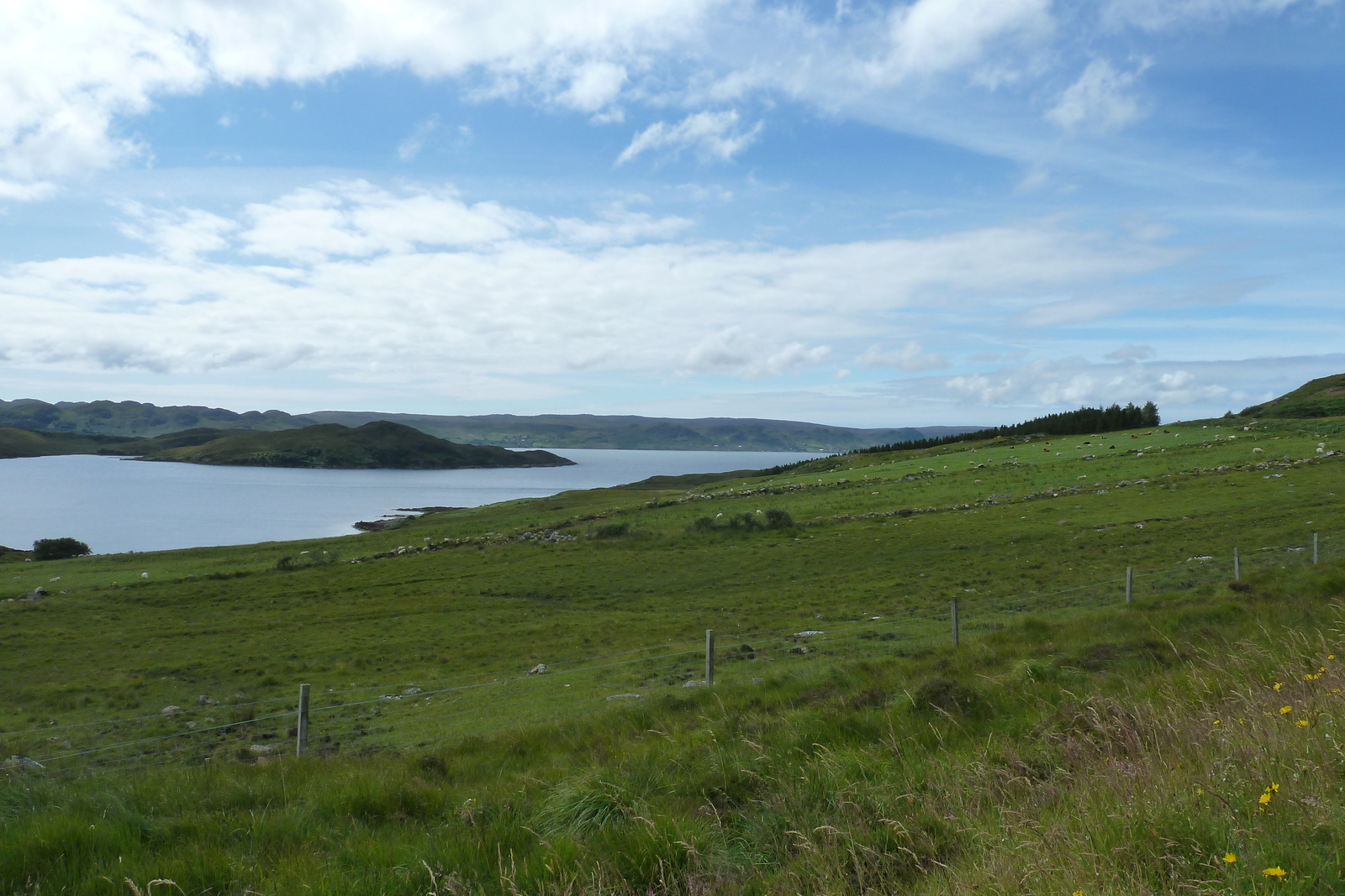 รูปถ่าย อังกฤษ(United Kingdom) สกอตแลนด์(Scotland) แกร์ลอค(Gairloch) 2011-07 23
