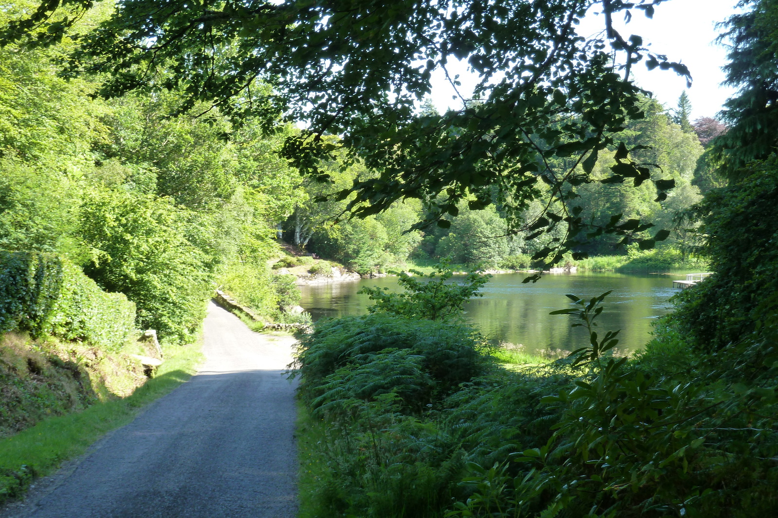 รูปถ่าย อังกฤษ(United Kingdom) สกอตแลนด์(Scotland) เซเลน(Salen) 2011-07 55