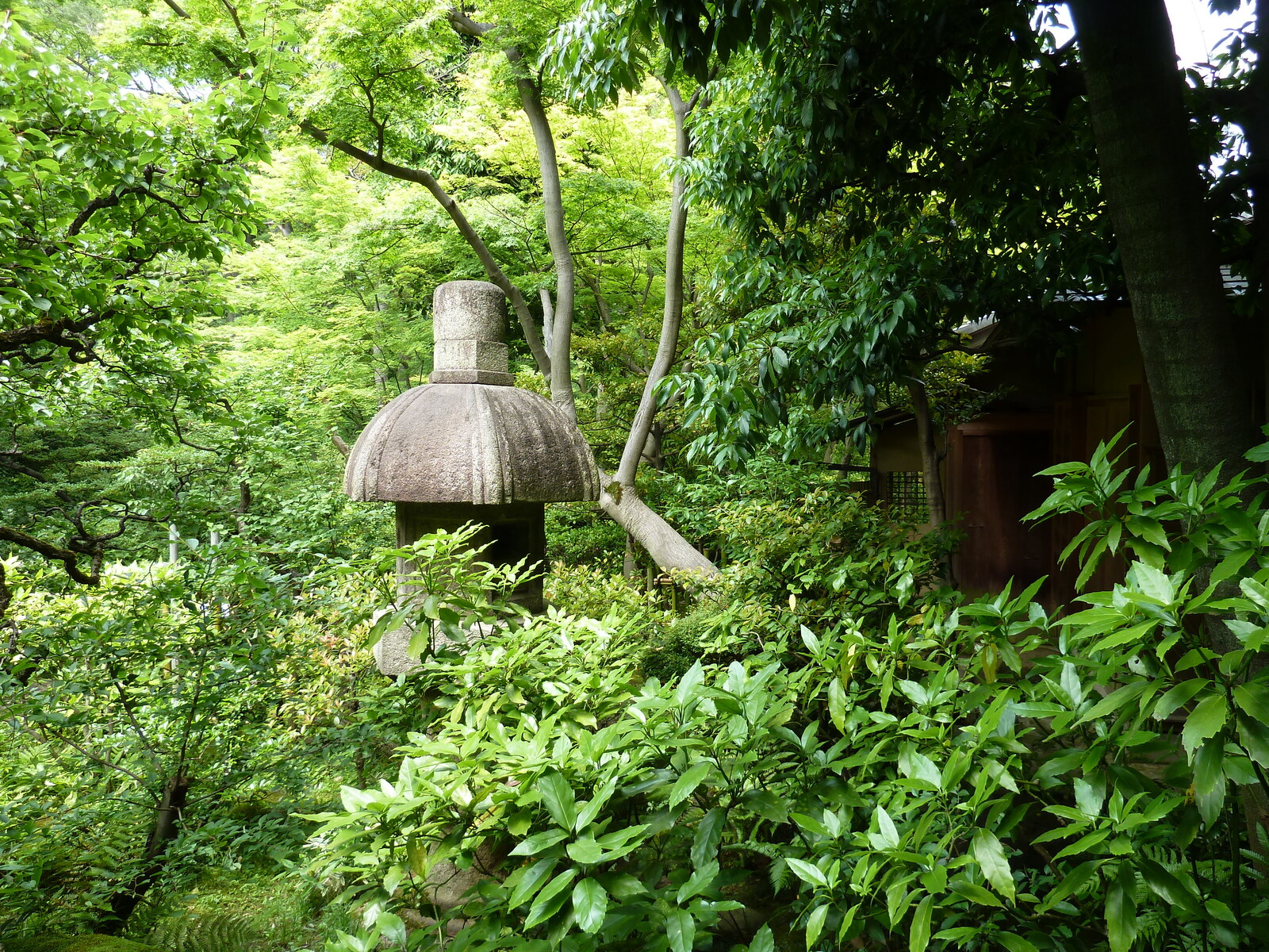รูปถ่าย ญี่ปุ่น(Japan) โตเกียว(Tokyo) พิพิธภัณฑ์เนซุ(Nezu Museum) 2010-06 97