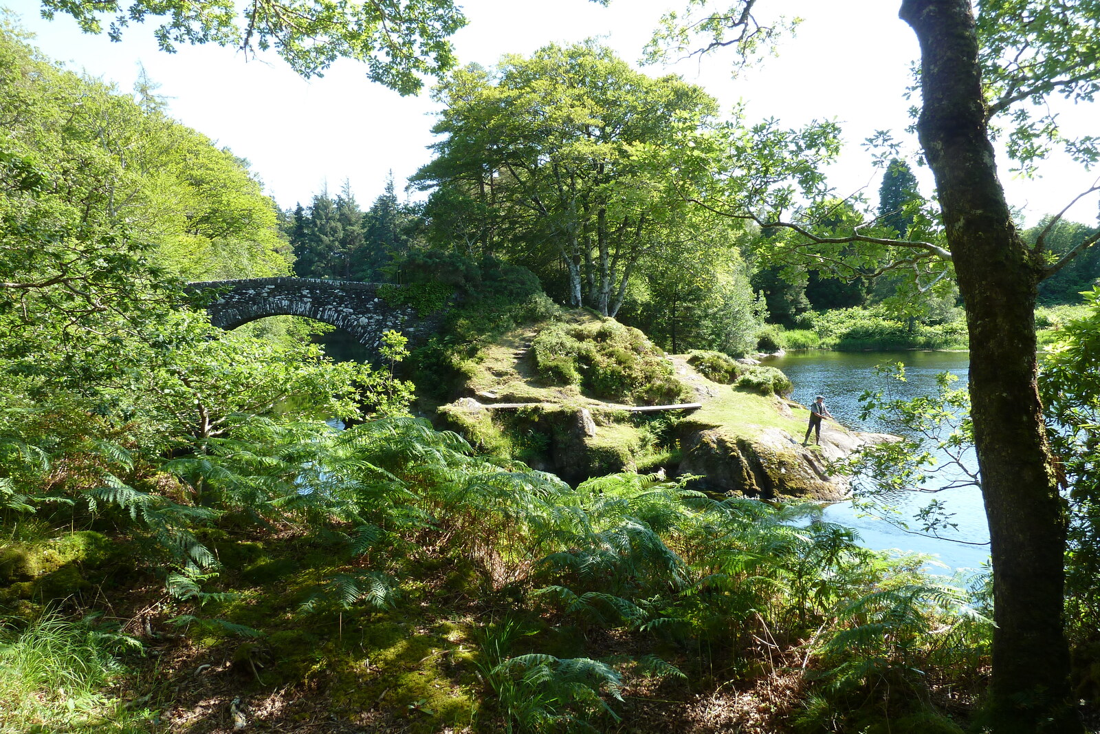 รูปถ่าย อังกฤษ(United Kingdom) สกอตแลนด์(Scotland) เซเลน(Salen) 2011-07 77