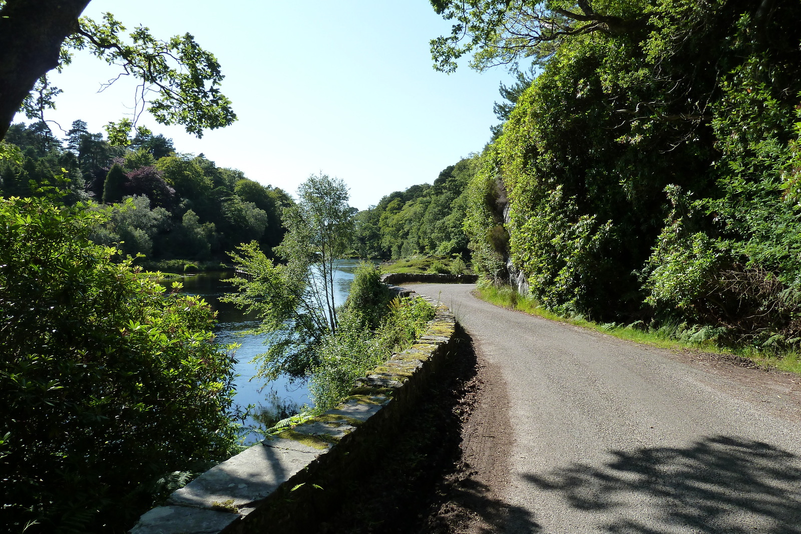 รูปถ่าย อังกฤษ(United Kingdom) สกอตแลนด์(Scotland) เซเลน(Salen) 2011-07 84