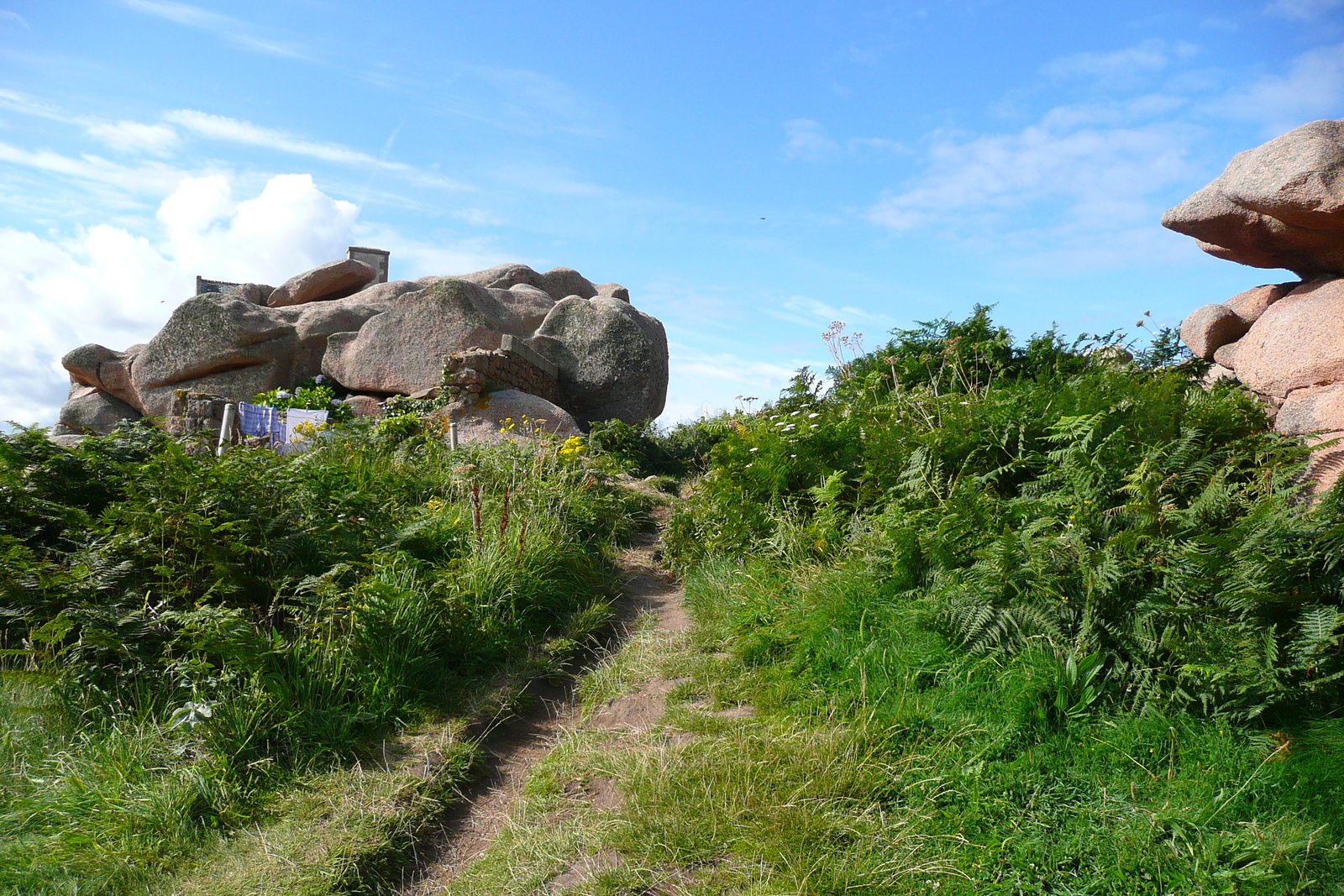 รูปถ่าย ฝรั่งเศส(France) แปร์รอส-กีแรก(Perros Guirec) หิน  แกรนิตชมพู (Cote de granite rose) 2007-08 52
