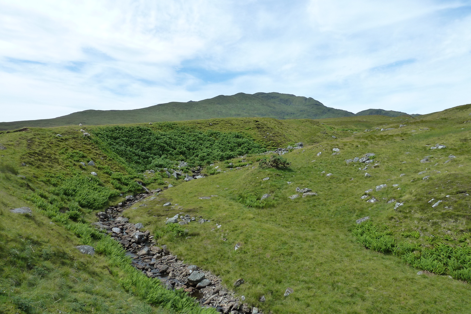 รูปถ่าย อังกฤษ(United Kingdom) ทรอสซักส์(The Trossachs) 2011-07 61