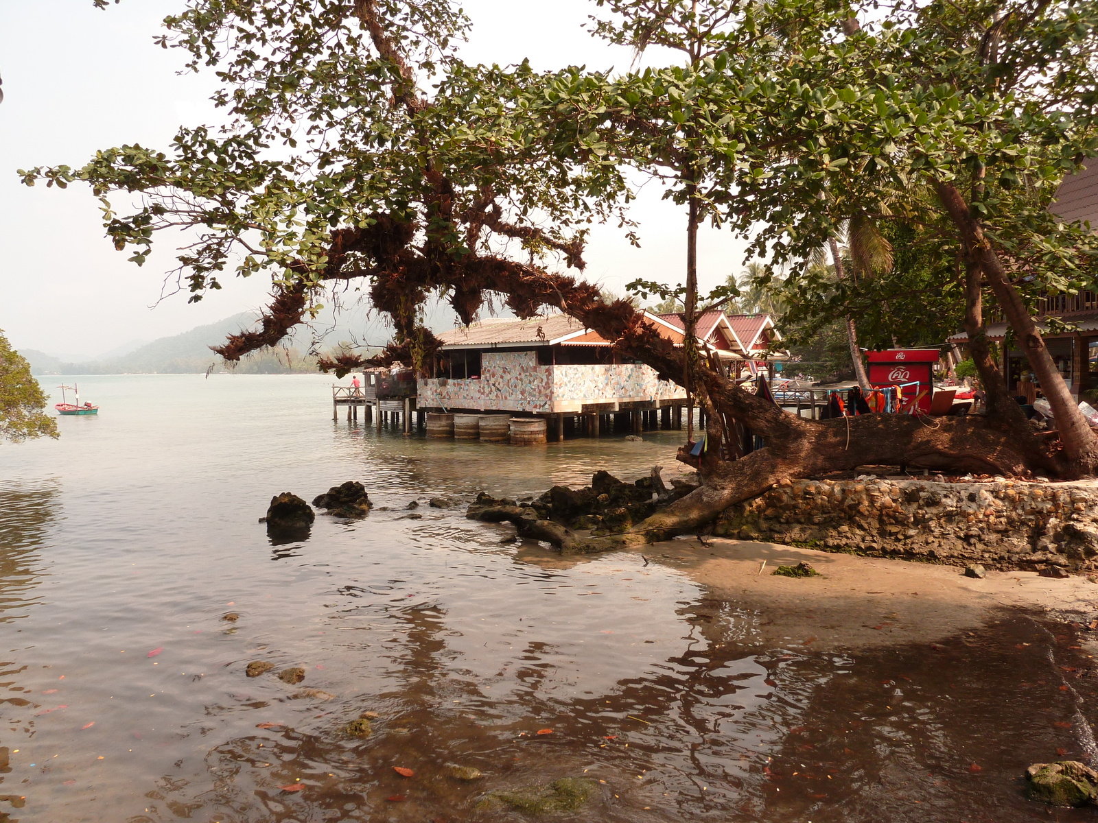 รูปถ่าย ไทย(Thailand) เกาะช้าง(Ko Chang) หาดคลองพร้าว(Klong Prao beach) 2011-02 113