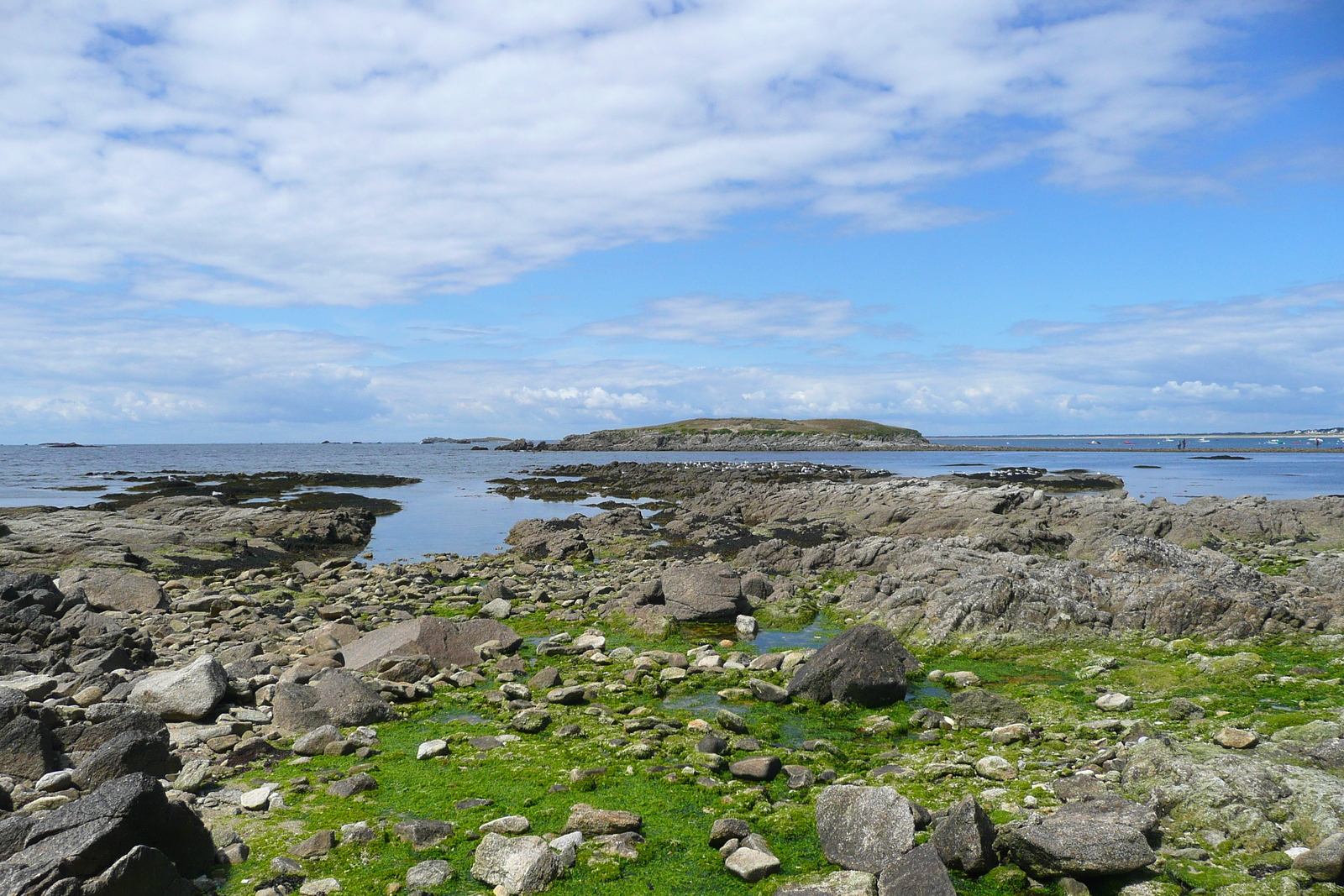 รูปถ่าย ฝรั่งเศส(France) คาบสมุทรกีเบอรง(Quiberon peninsula) ปอร์ตีวี(Portivy) 2008-07 35