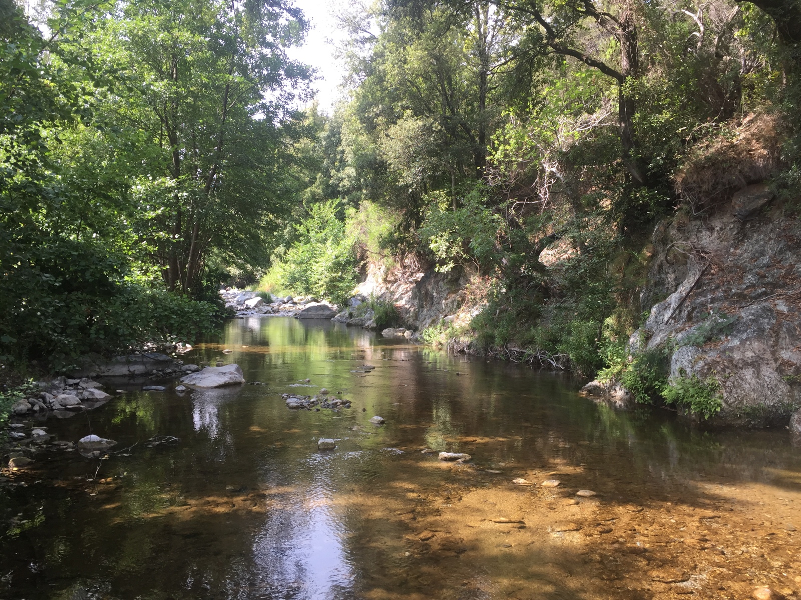 รูปถ่าย ฝรั่งเศส(France) คอร์สิคา(Corsica) ตอกซ์(Tox) 2017-09 5