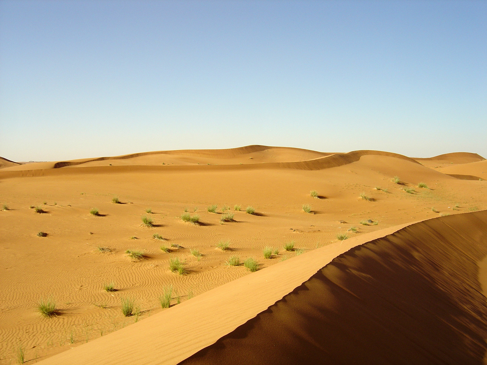 รูปถ่าย สหรัฐอาหรับเอมิเรตส์(United Arab Emirates) จากดูไบไปถนนอัลอิน(Dubai to Al Ain road) 2005-03 77