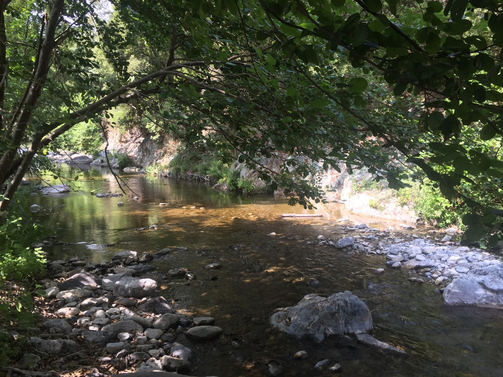 รูปถ่าย ฝรั่งเศส(France) คอร์สิคา(Corsica) ตอกซ์(Tox) 2017-09 2