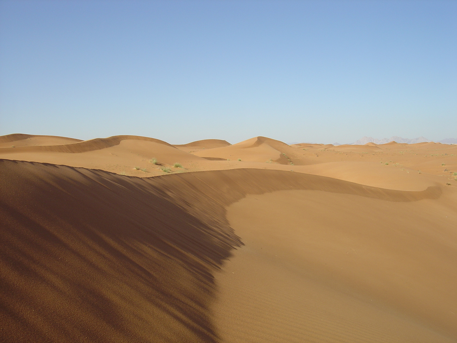 รูปถ่าย สหรัฐอาหรับเอมิเรตส์(United Arab Emirates) จากดูไบไปถนนอัลอิน(Dubai to Al Ain road) 2005-03 81