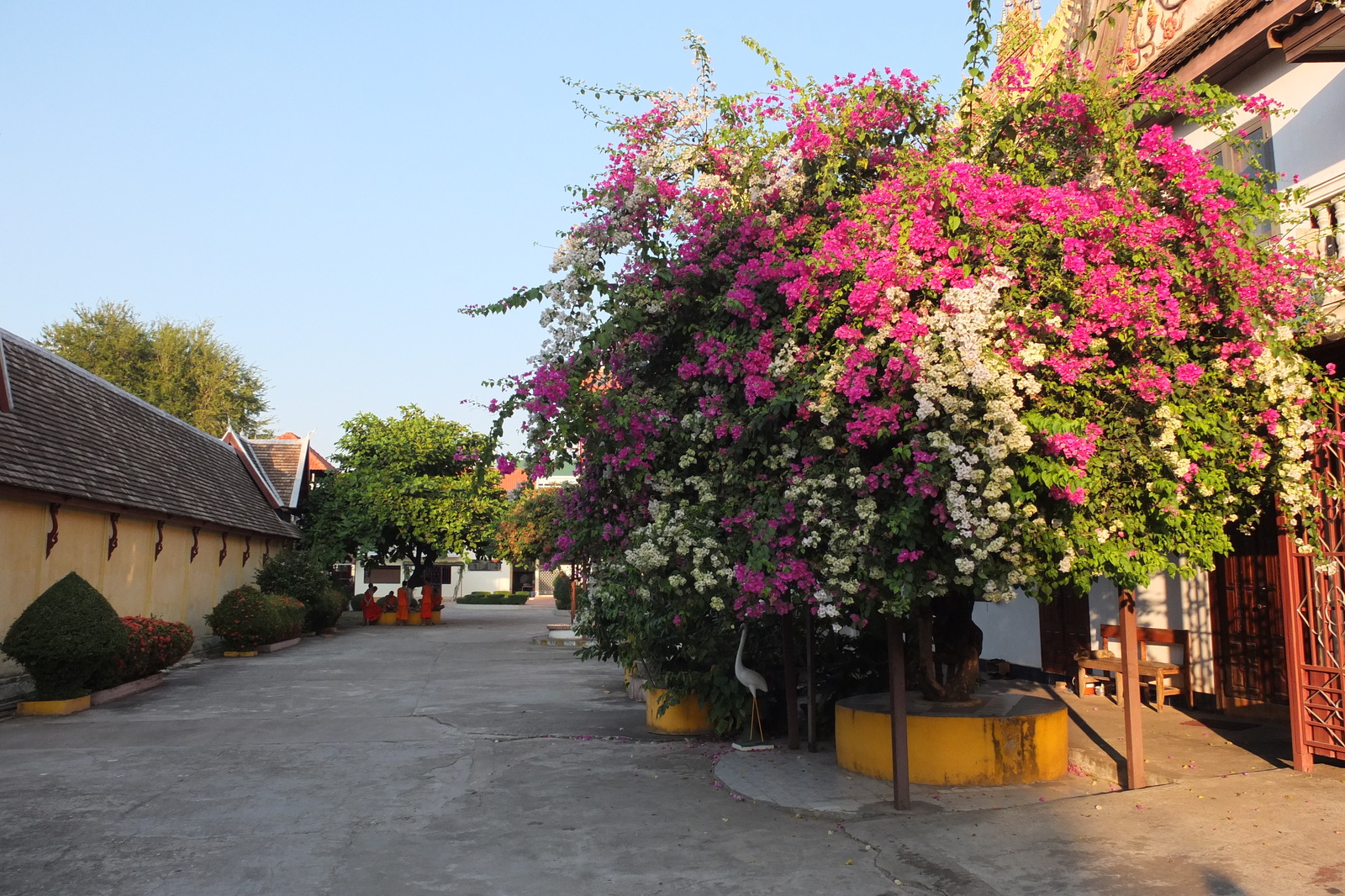 รูปถ่าย ลาว(Laos) เวียงจันทน์(Vientiane) 2012-12 323