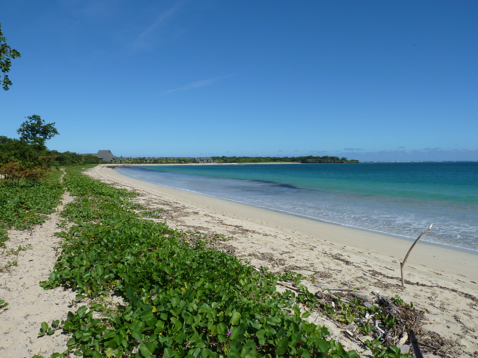 รูปถ่าย ฟิจิ(Fiji) 2010-05 56