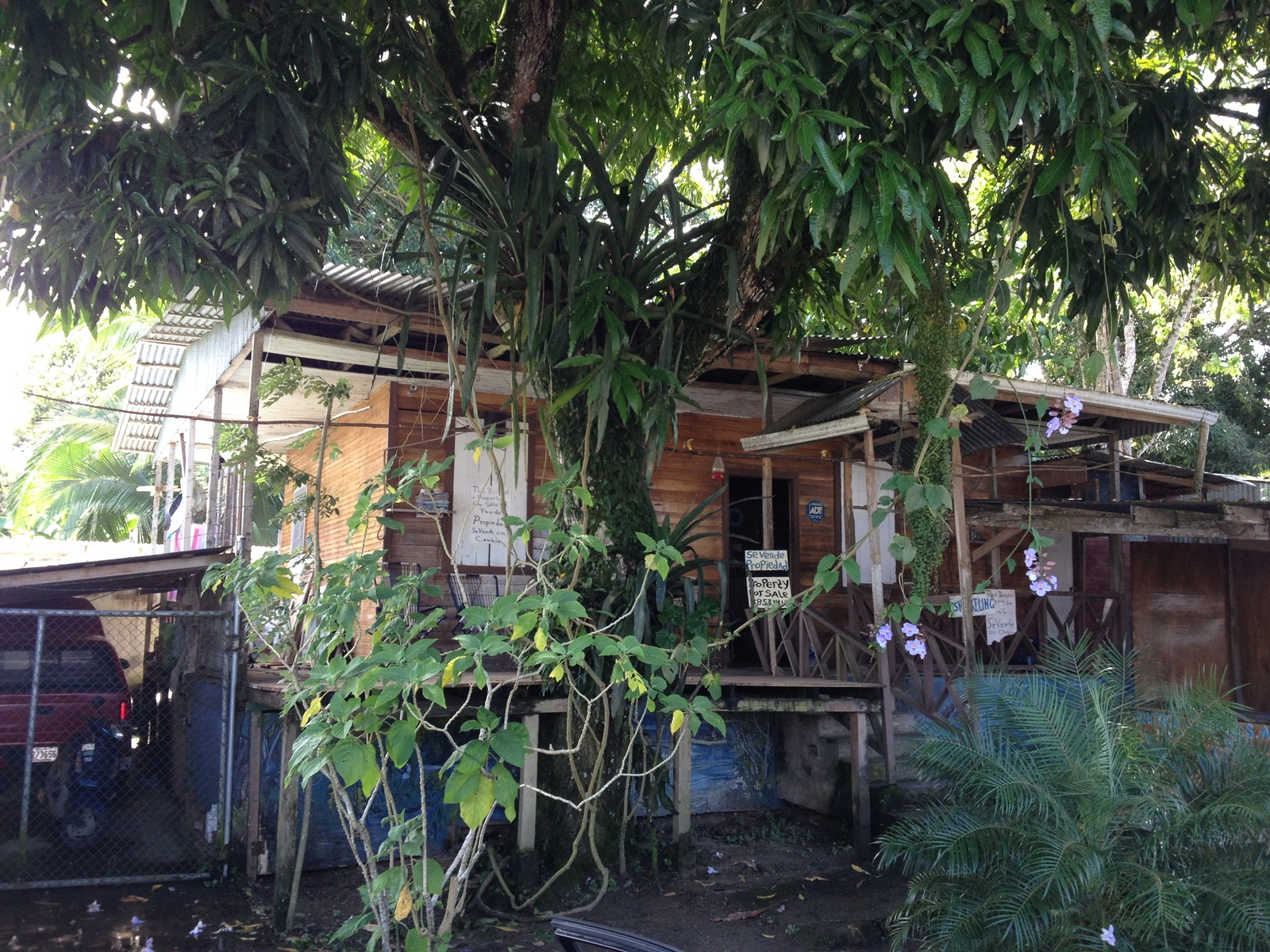 รูปถ่าย คอสตาริกา(Costa Rica) กาอุยตา(Cahuita) 2015-03 120