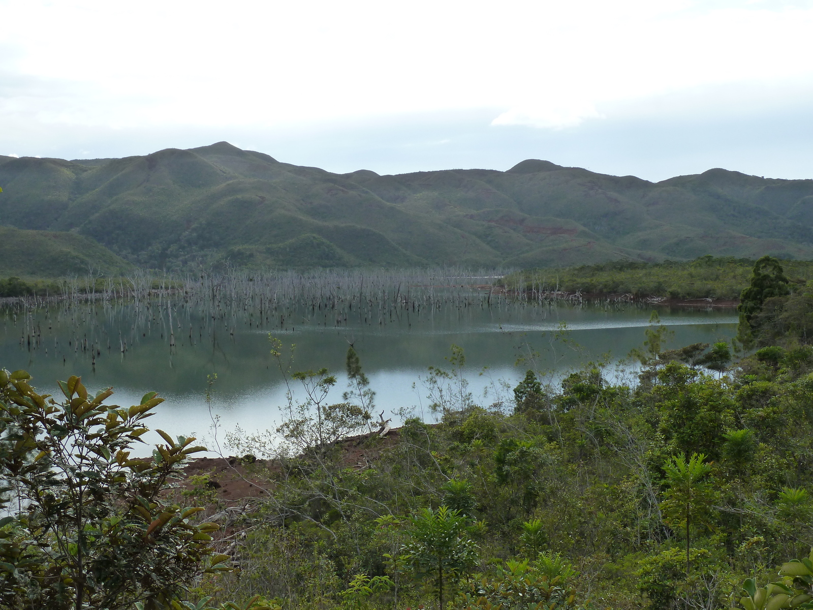 รูปถ่าย นิวแคลิโดเนีย(New Caledonia) อุทยานริเวียร์เบลอ(Parc de la Riviere Bleue) 2010-05 35
