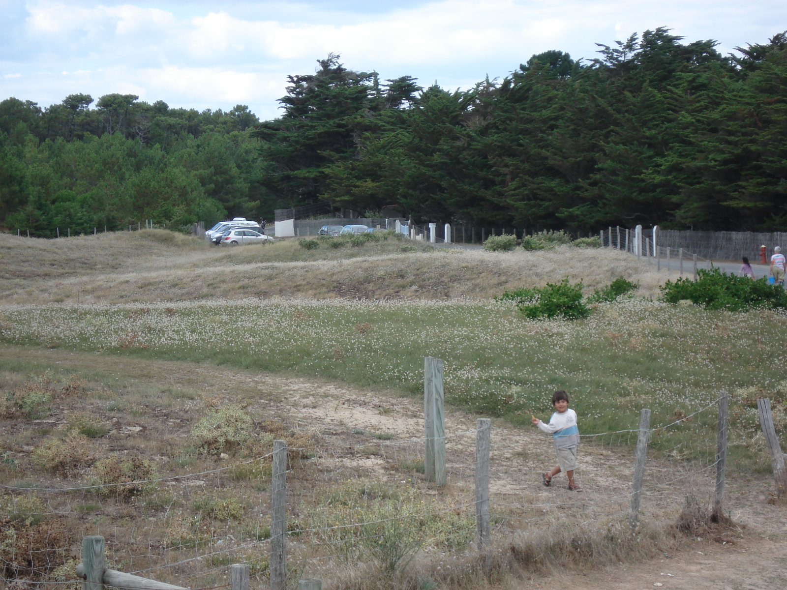 รูปถ่าย ฝรั่งเศส(France) นีวร์มูทีเย(Noirmoutier) 2006-08 103