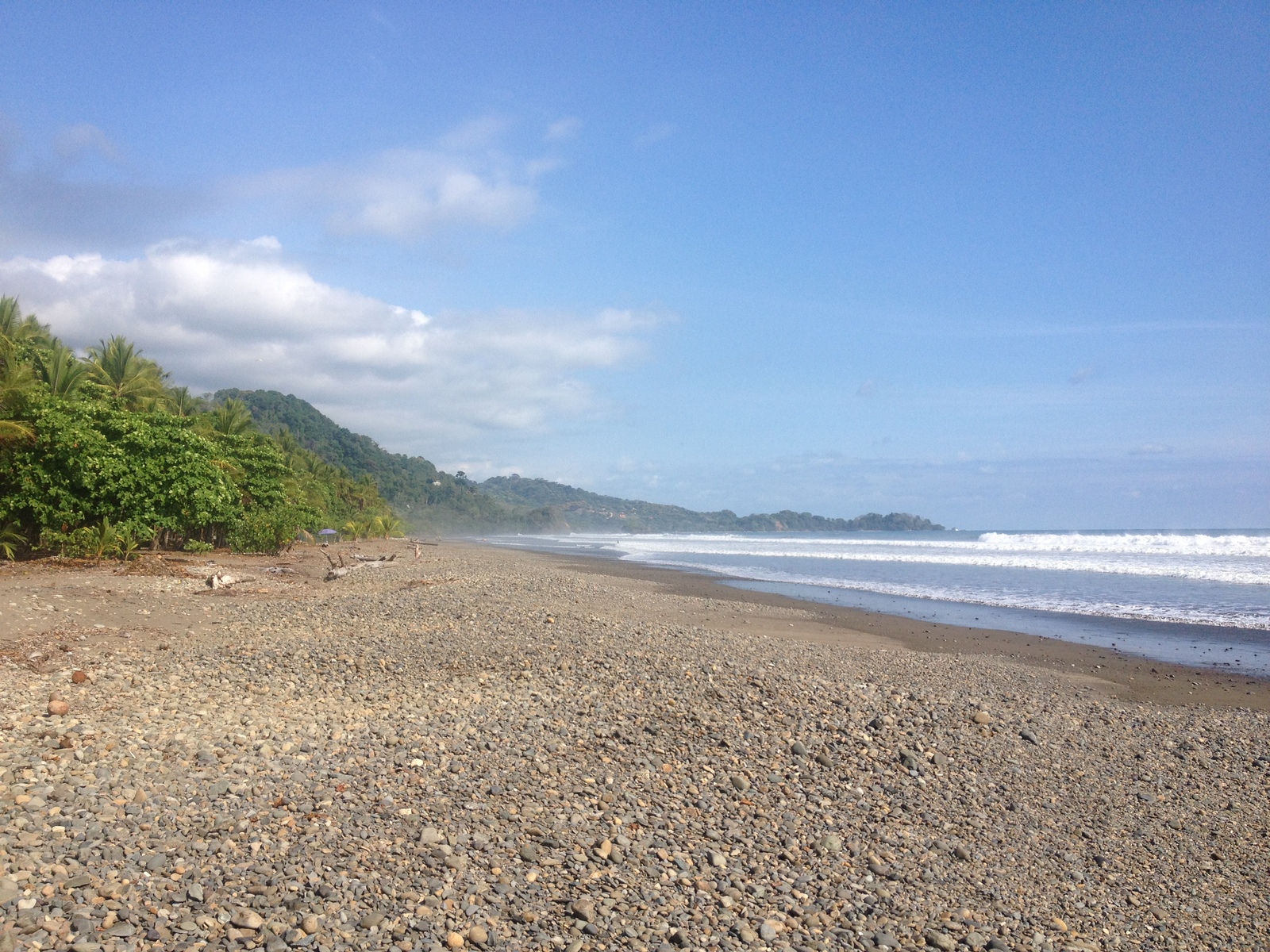 รูปถ่าย คอสตาริกา(Costa Rica) โดมินิกัล(Dominical) 2015-03 154