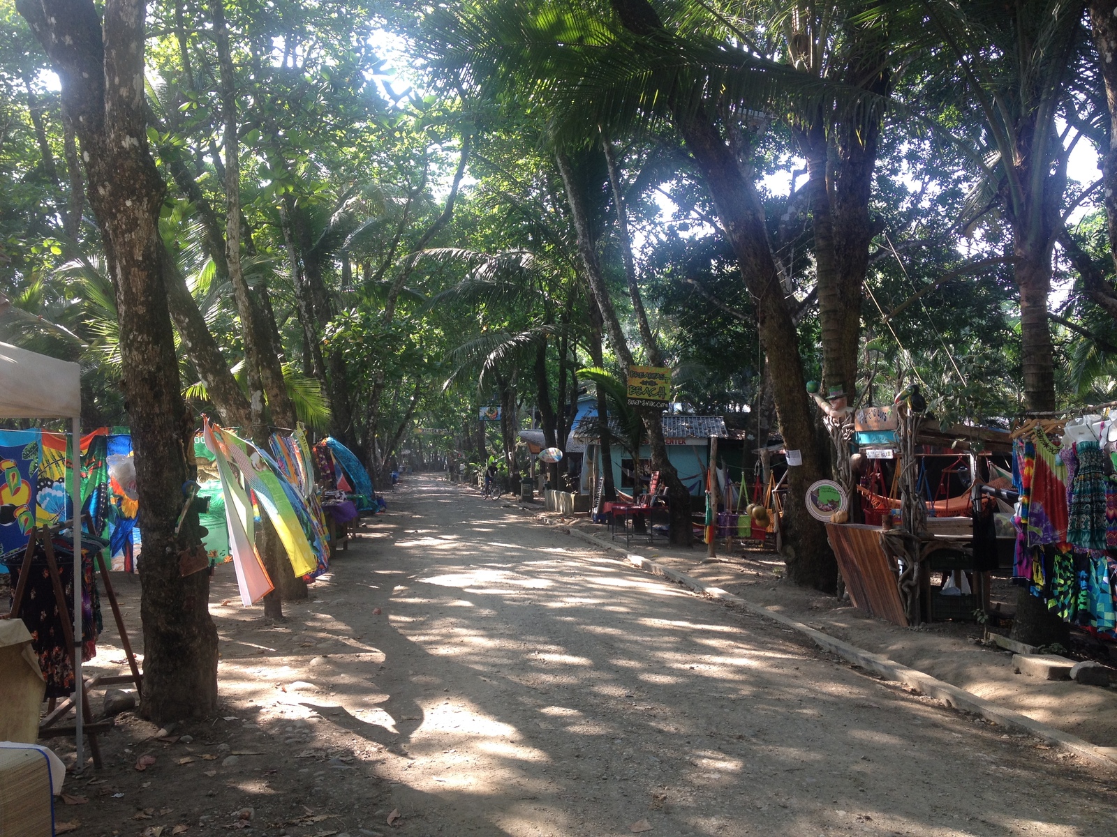 รูปถ่าย คอสตาริกา(Costa Rica) โดมินิกัล(Dominical) 2015-03 145