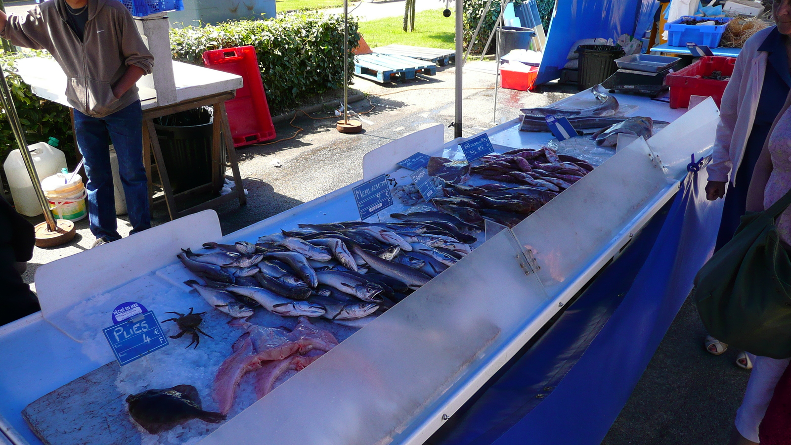 รูปถ่าย ฝรั่งเศส(France) เพรฟาย(Prefailles) ตลาดเปรฟาย(Market in Prefailles) 2007-07 0