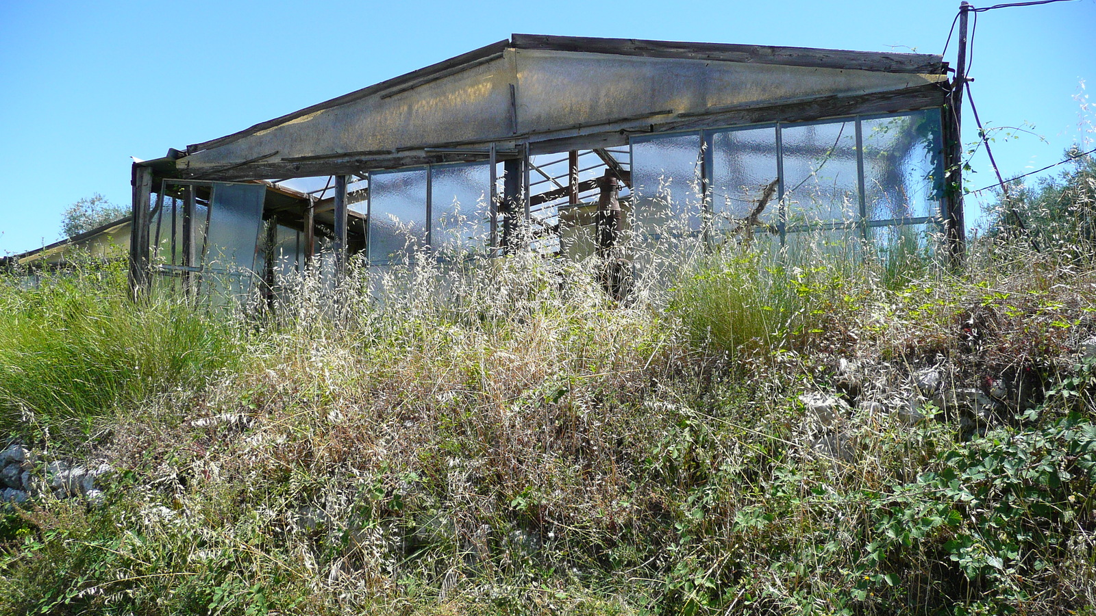 รูปถ่าย ฝรั่งเศส(France) ลาโกด(La Gaude) 2007-07 77